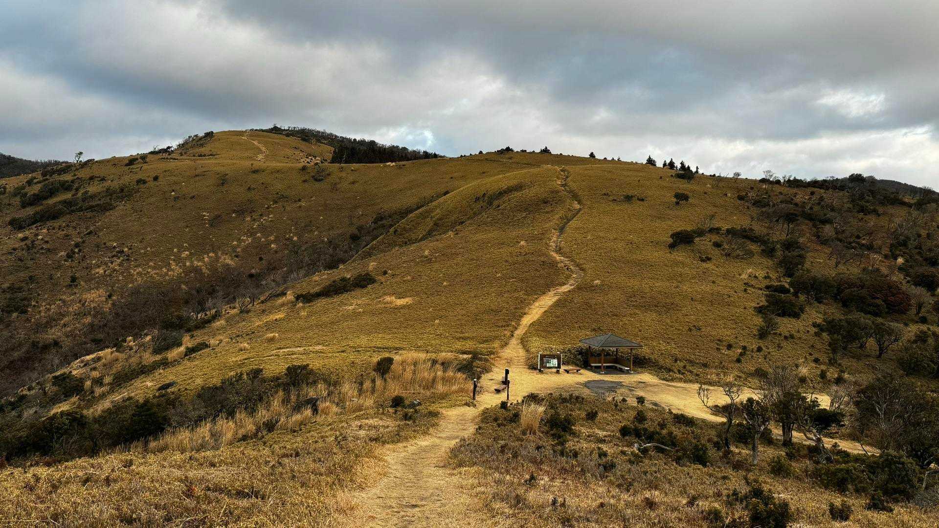 伊豆山陵線トレイル（三蓋山・水呑頭・猫越岳・後藤山・魂の山・棚場山・伽藍山・古稀山・達磨山・小達磨山） の写真 58