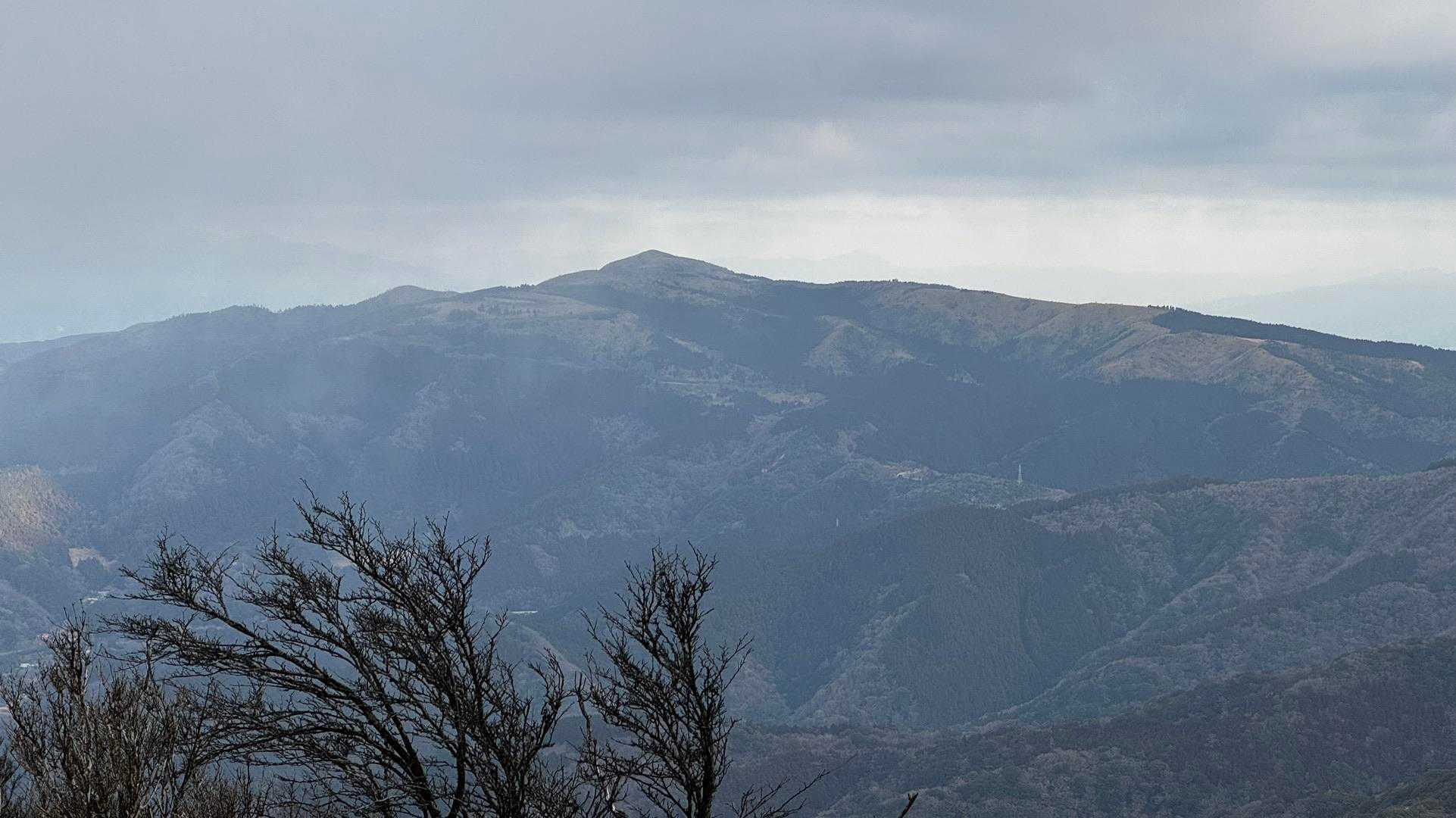 伊豆山陵線トレイル（三蓋山・水呑頭・猫越岳・後藤山・魂の山・棚場山・伽藍山・古稀山・達磨山・小達磨山） の写真 61