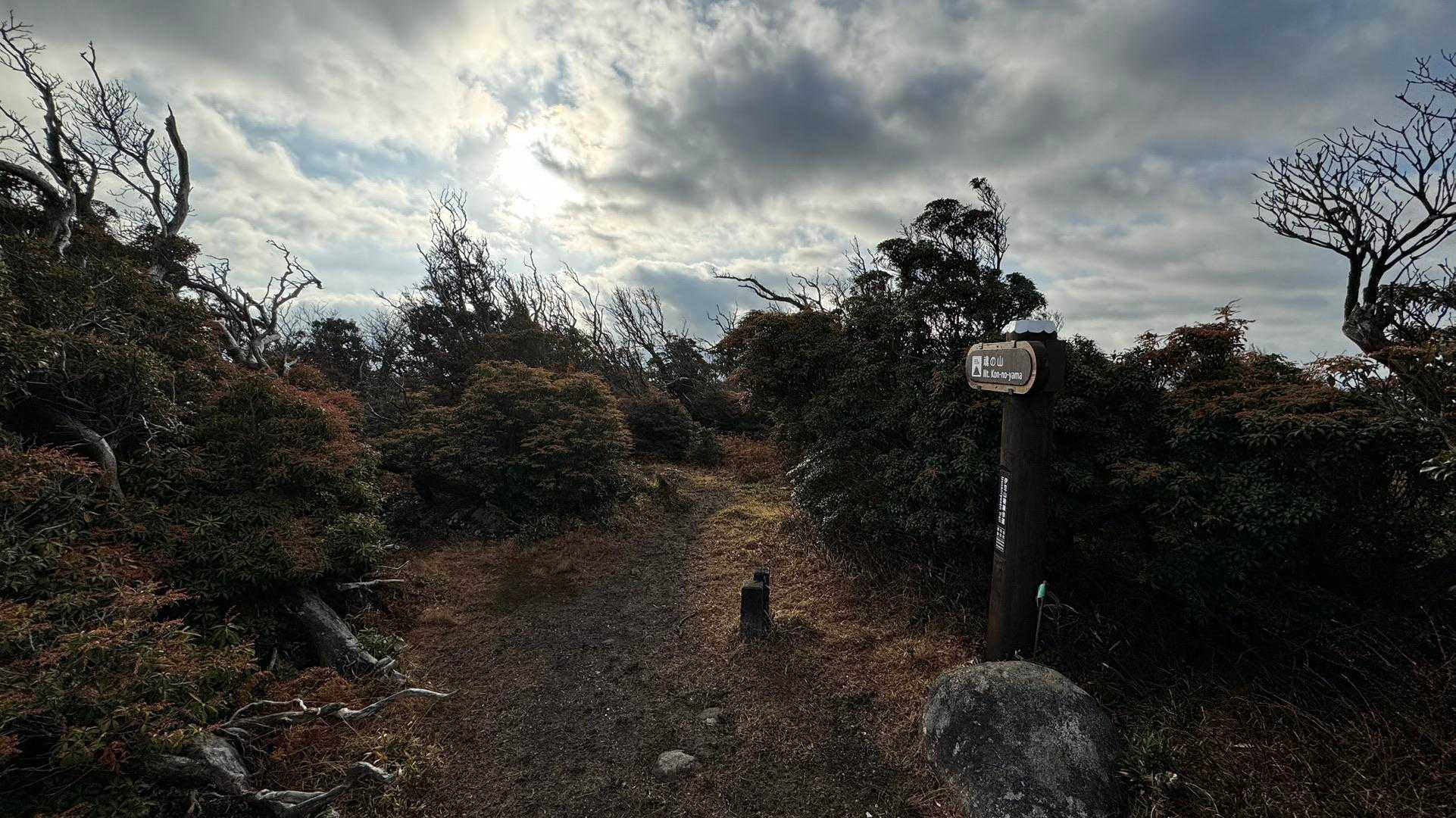 伊豆山陵線トレイル（三蓋山・水呑頭・猫越岳・後藤山・魂の山・棚場山・伽藍山・古稀山・達磨山・小達磨山） の写真 64