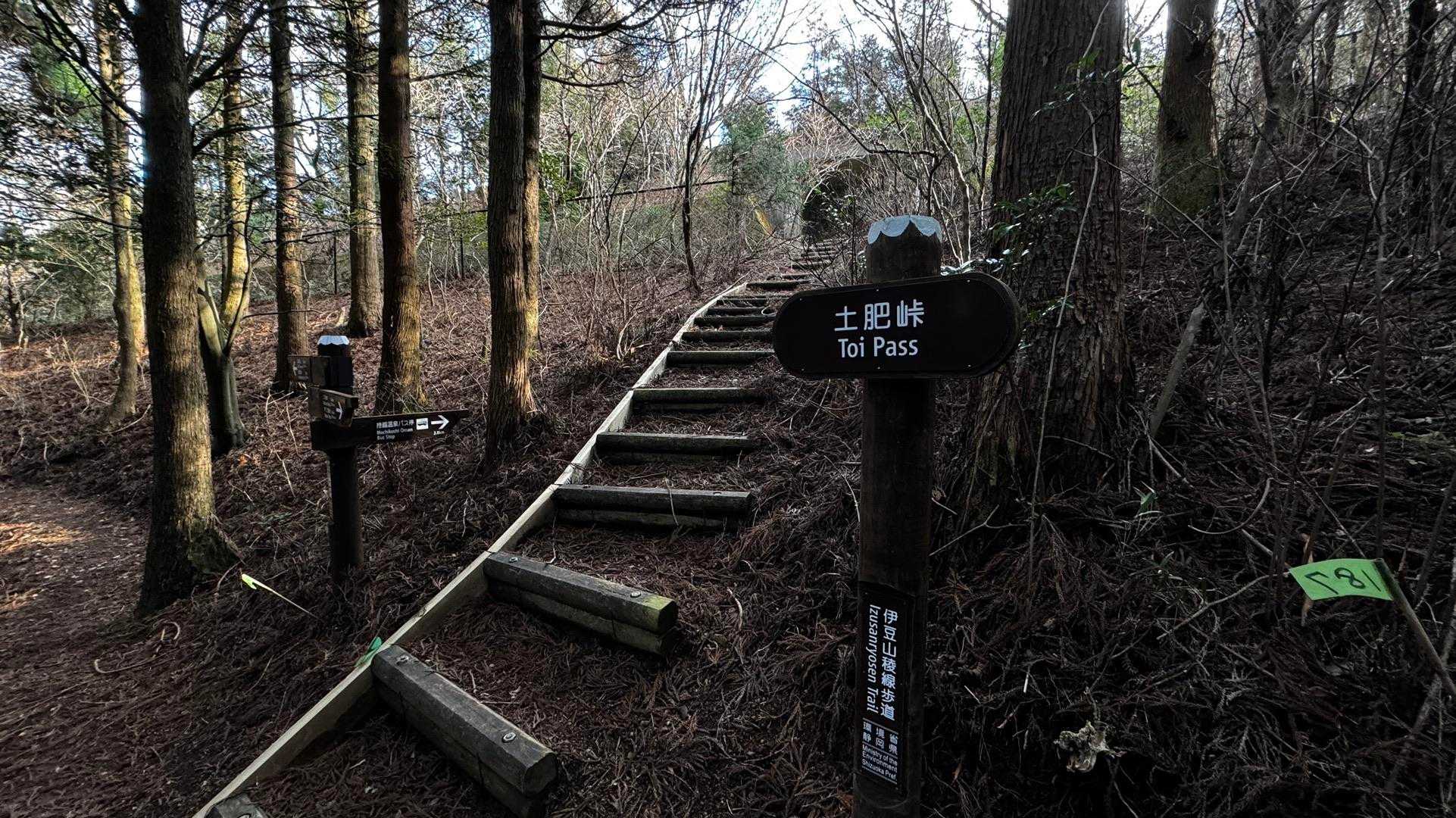 伊豆山陵線トレイル（三蓋山・水呑頭・猫越岳・後藤山・魂の山・棚場山・伽藍山・古稀山・達磨山・小達磨山） の写真 66