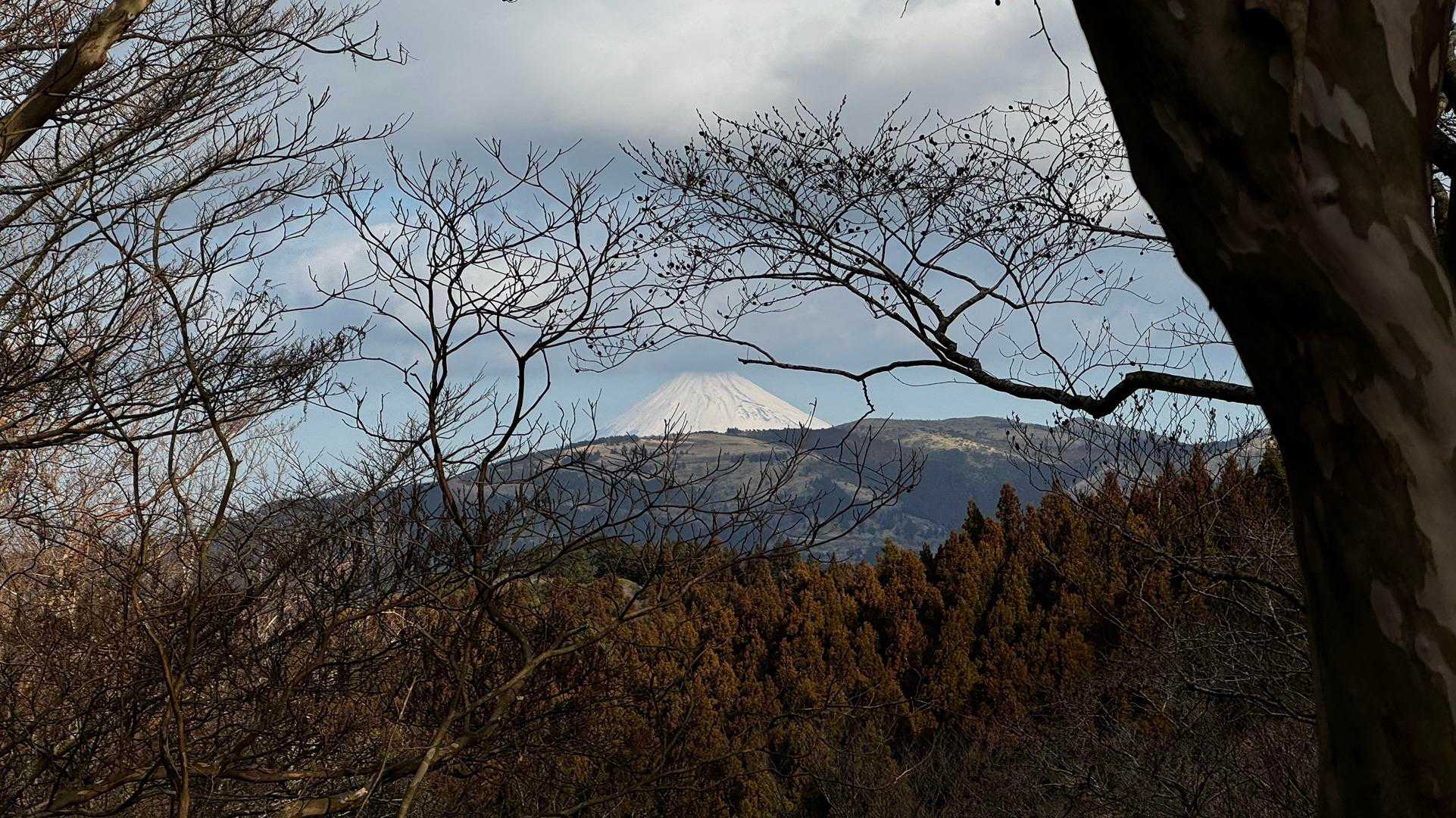 伊豆山陵線トレイル（三蓋山・水呑頭・猫越岳・後藤山・魂の山・棚場山・伽藍山・古稀山・達磨山・小達磨山） の写真 67