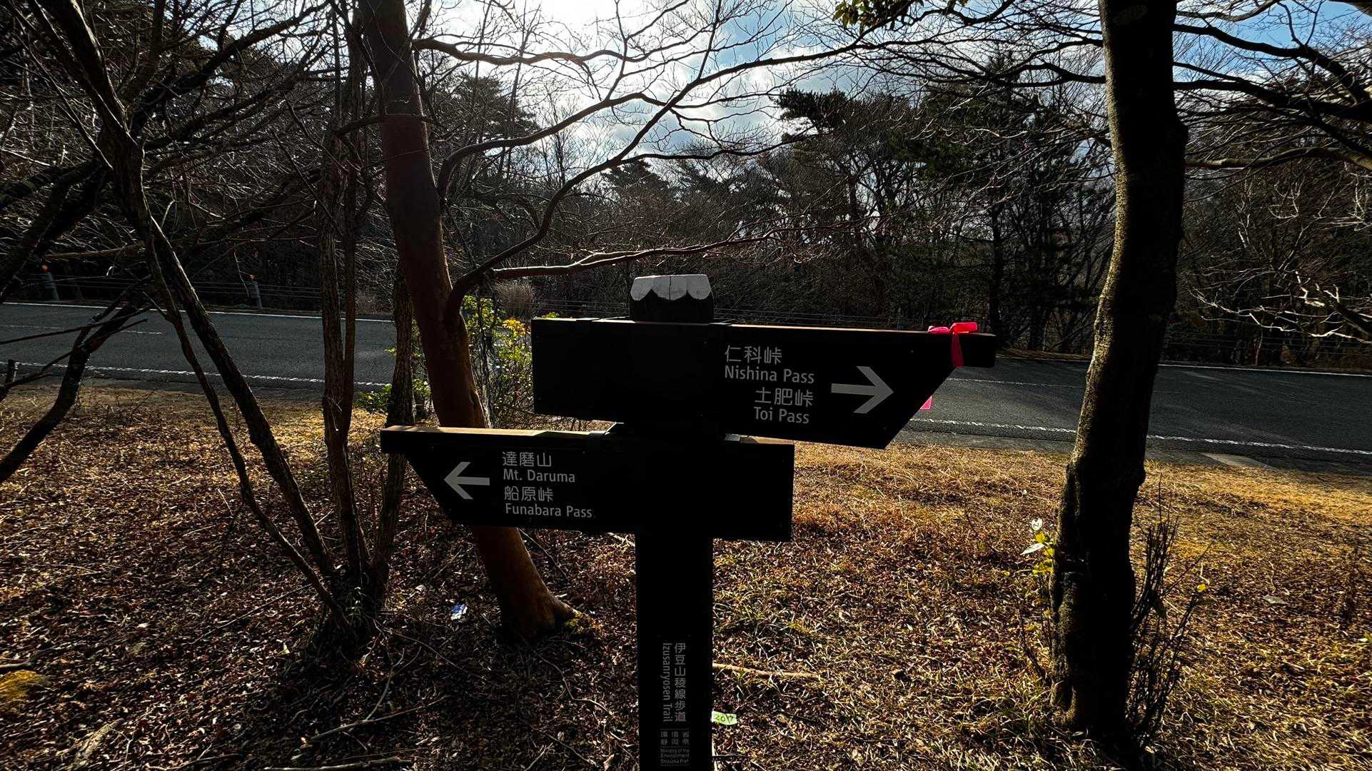伊豆山陵線トレイル（三蓋山・水呑頭・猫越岳・後藤山・魂の山・棚場山・伽藍山・古稀山・達磨山・小達磨山） の写真 68