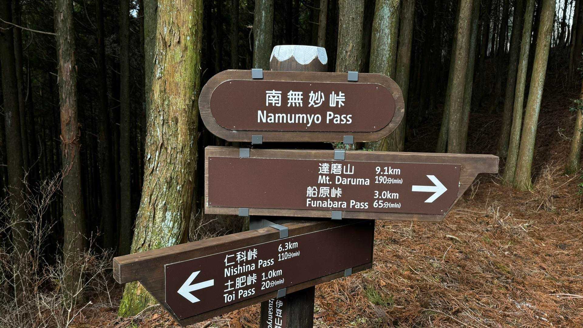 伊豆山陵線トレイル（三蓋山・水呑頭・猫越岳・後藤山・魂の山・棚場山・伽藍山・古稀山・達磨山・小達磨山） の写真 70