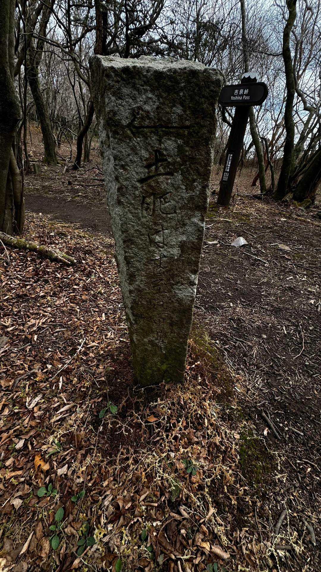 伊豆山陵線トレイル（三蓋山・水呑頭・猫越岳・後藤山・魂の山・棚場山・伽藍山・古稀山・達磨山・小達磨山） の写真 71