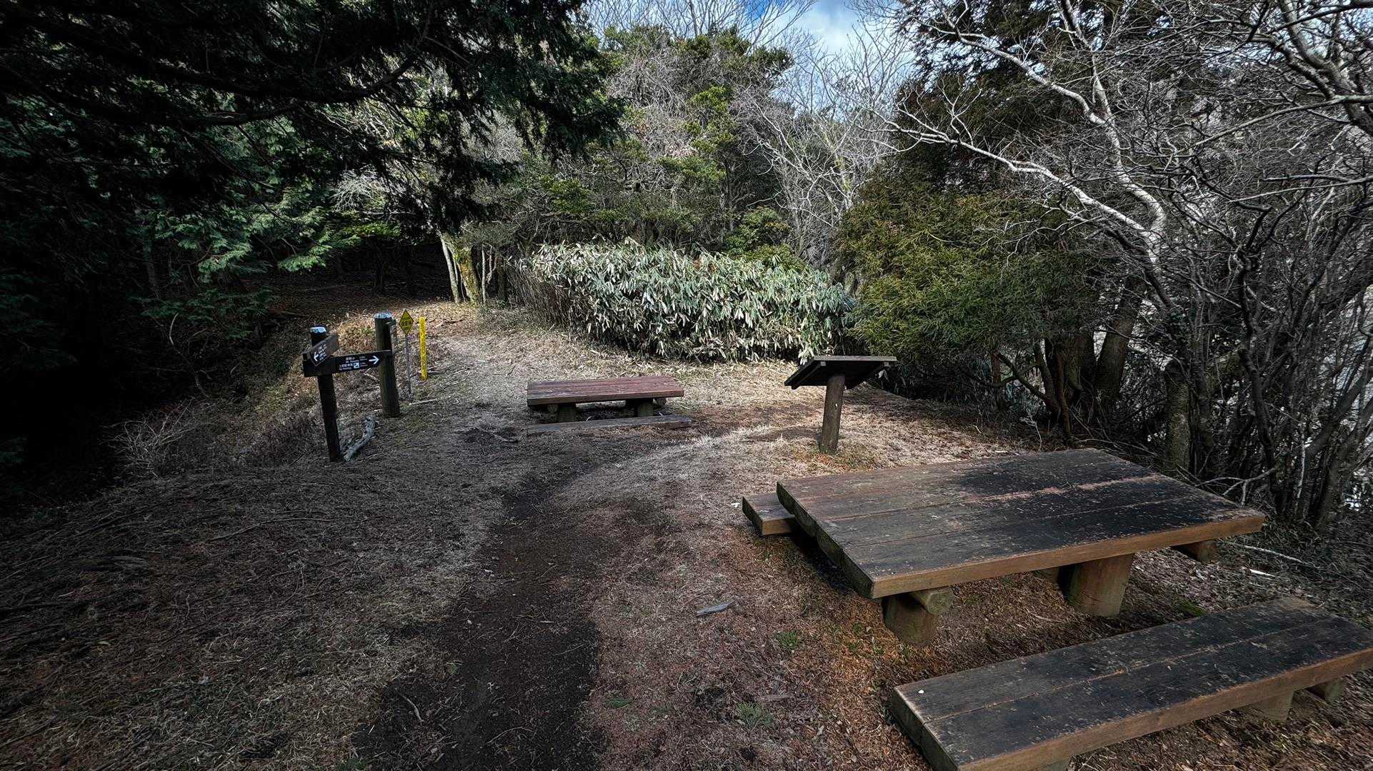 伊豆山陵線トレイル（三蓋山・水呑頭・猫越岳・後藤山・魂の山・棚場山・伽藍山・古稀山・達磨山・小達磨山） の写真 74