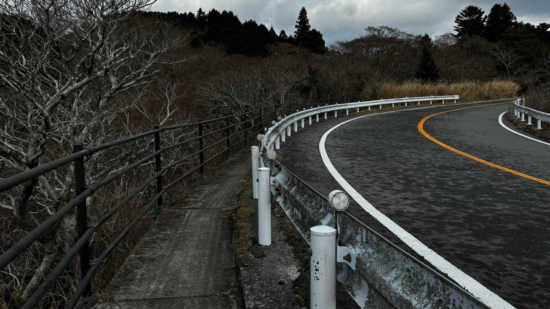 伊豆山陵線トレイル（三蓋山・水呑頭・猫越岳・後藤山・魂の山・棚場山・伽藍山・古稀山・達磨山・小達磨山） の写真 78