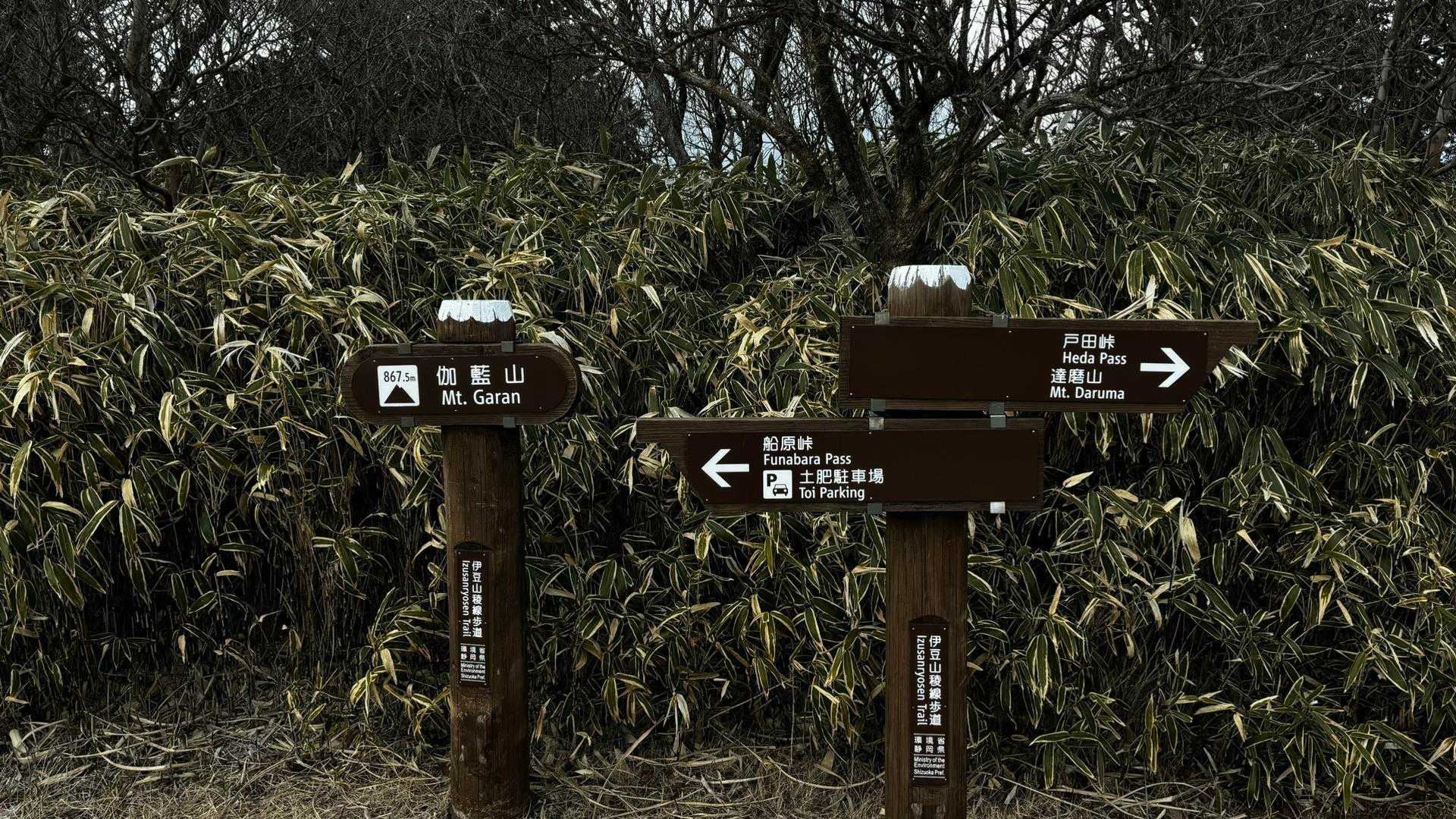 伊豆山陵線トレイル（三蓋山・水呑頭・猫越岳・後藤山・魂の山・棚場山・伽藍山・古稀山・達磨山・小達磨山） の写真 80
