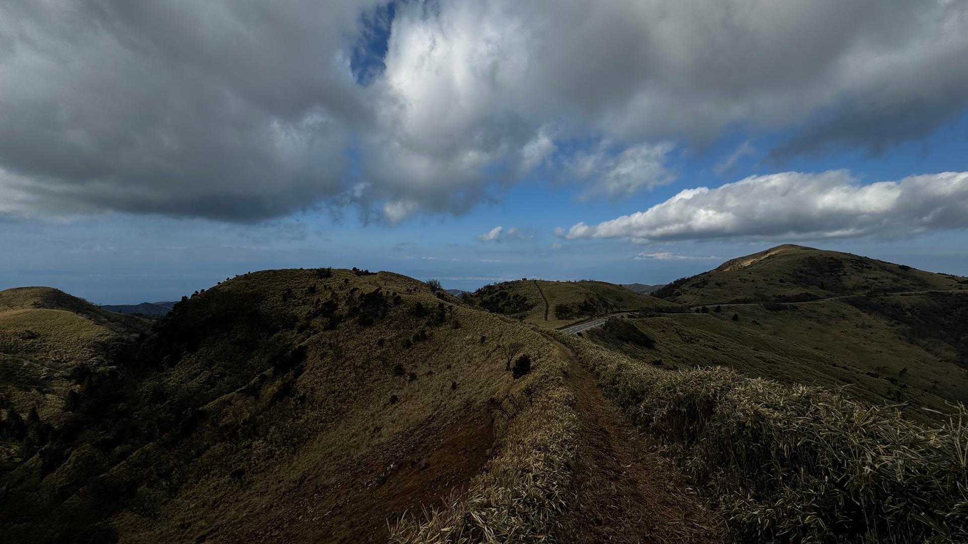 伊豆山陵線トレイル（三蓋山・水呑頭・猫越岳・後藤山・魂の山・棚場山・伽藍山・古稀山・達磨山・小達磨山） の写真 81