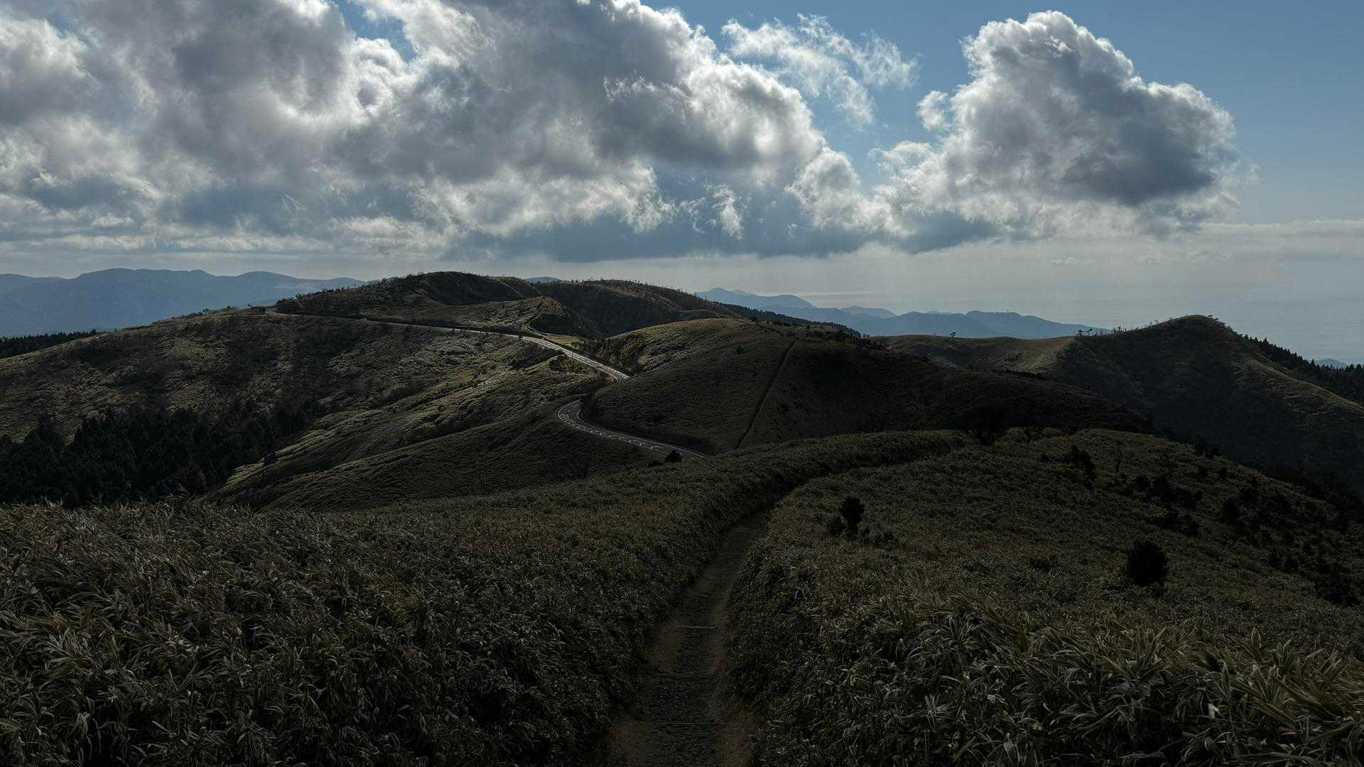 伊豆山陵線トレイル（三蓋山・水呑頭・猫越岳・後藤山・魂の山・棚場山・伽藍山・古稀山・達磨山・小達磨山） の写真 82