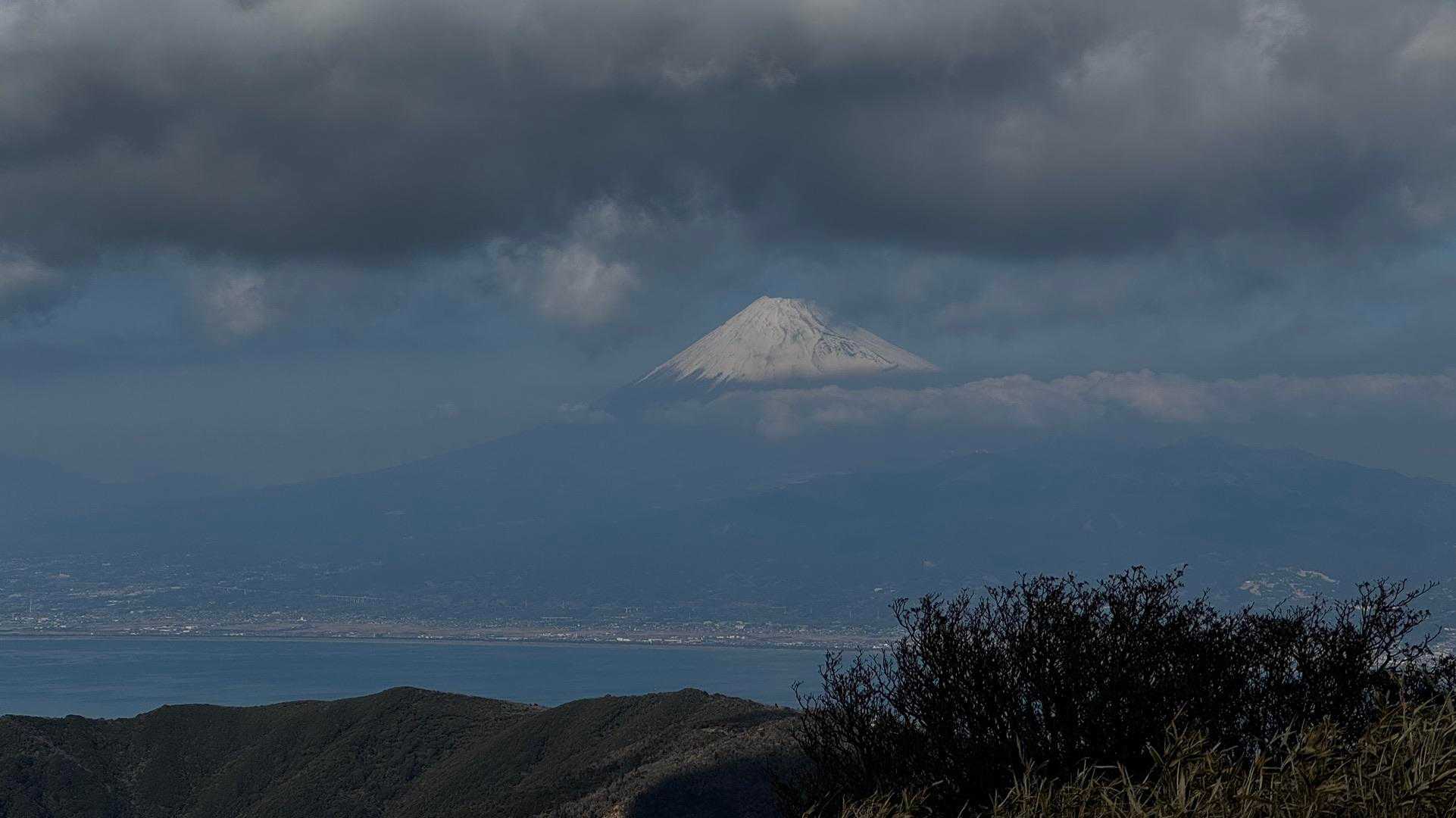 伊豆山陵線トレイル（三蓋山・水呑頭・猫越岳・後藤山・魂の山・棚場山・伽藍山・古稀山・達磨山・小達磨山） の写真 83