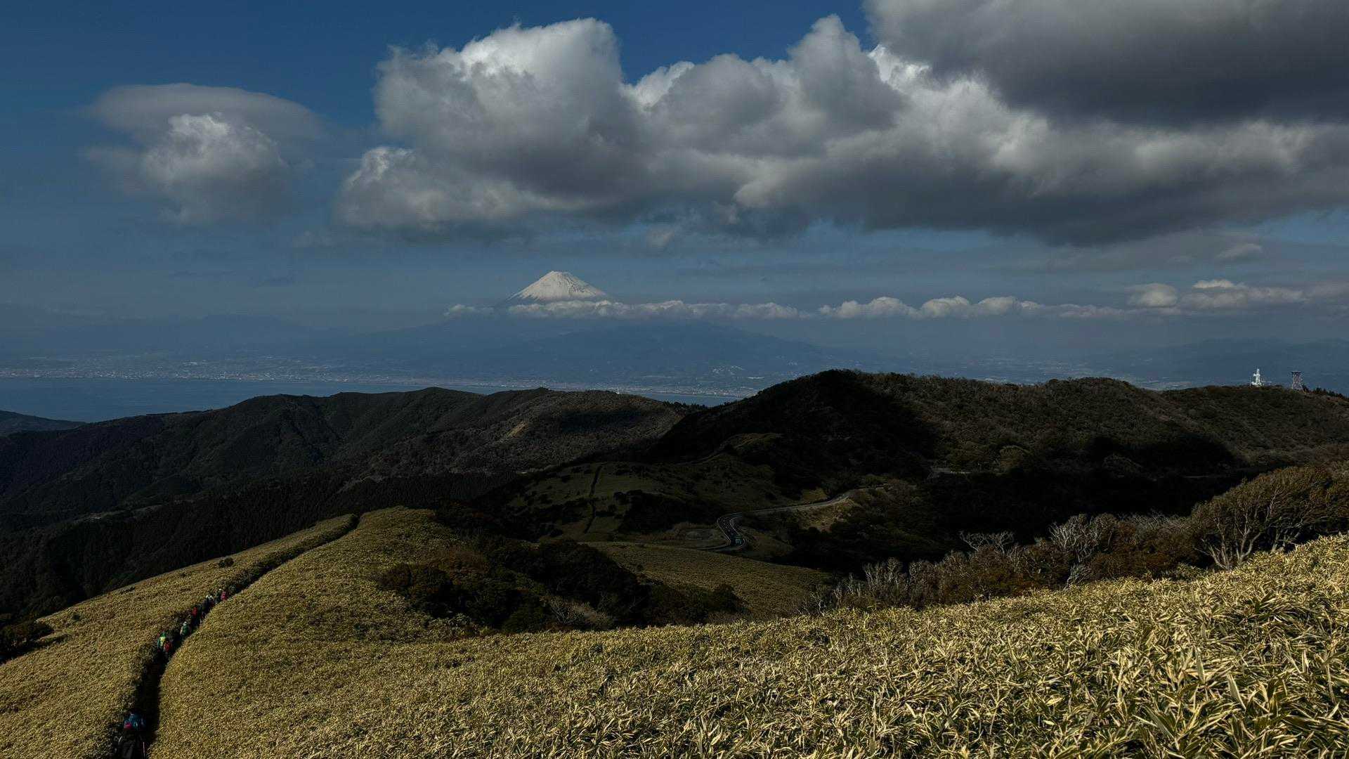伊豆山陵線トレイル（三蓋山・水呑頭・猫越岳・後藤山・魂の山・棚場山・伽藍山・古稀山・達磨山・小達磨山） の写真 84