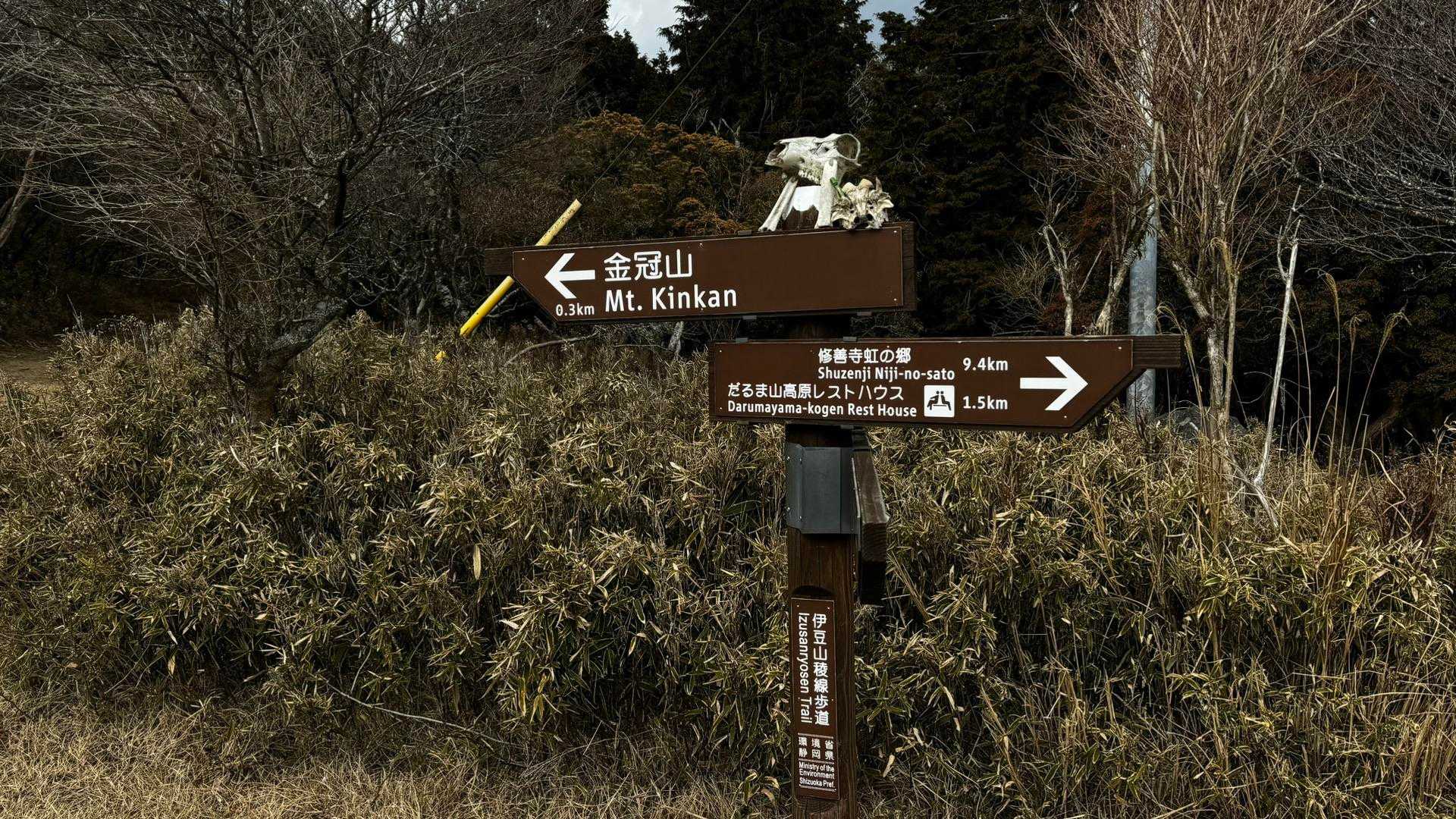 伊豆山陵線トレイル（三蓋山・水呑頭・猫越岳・後藤山・魂の山・棚場山・伽藍山・古稀山・達磨山・小達磨山） の写真 87