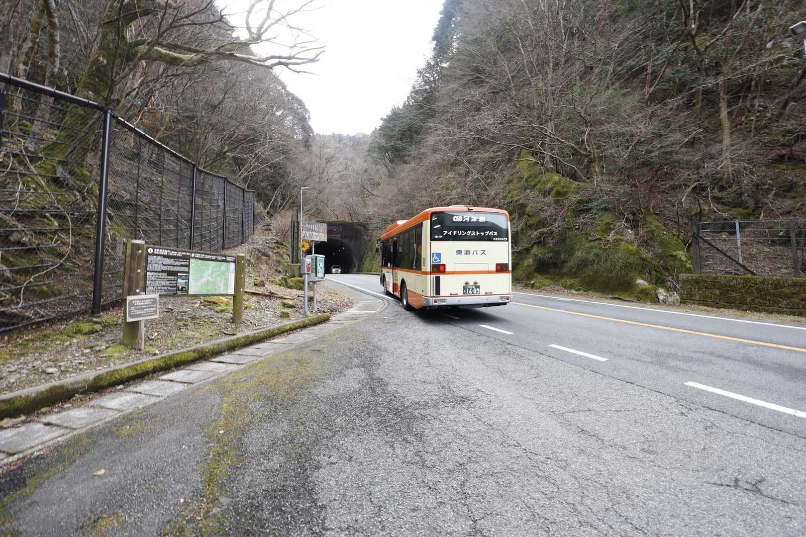 伊豆山陵線トレイル（三蓋山・水呑頭・猫越岳・後藤山・魂の山・棚場山・伽藍山・古稀山・達磨山・小達磨山） の写真 3