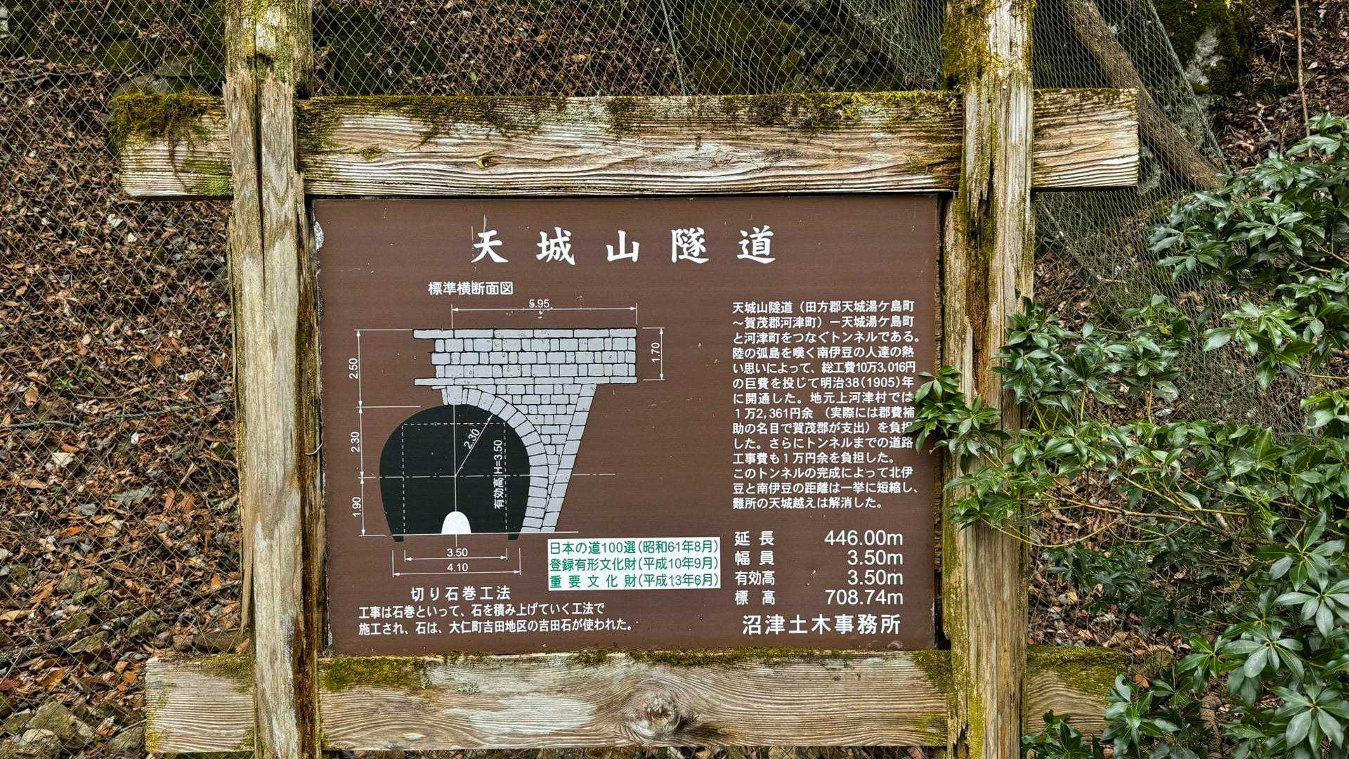 伊豆山陵線トレイル（三蓋山・水呑頭・猫越岳・後藤山・魂の山・棚場山・伽藍山・古稀山・達磨山・小達磨山） の写真 7
