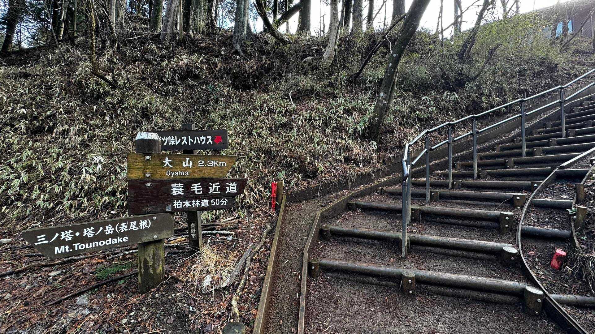 大山（ヤビツ峠〜大山〜鶴巻温泉）縦走 の写真 2