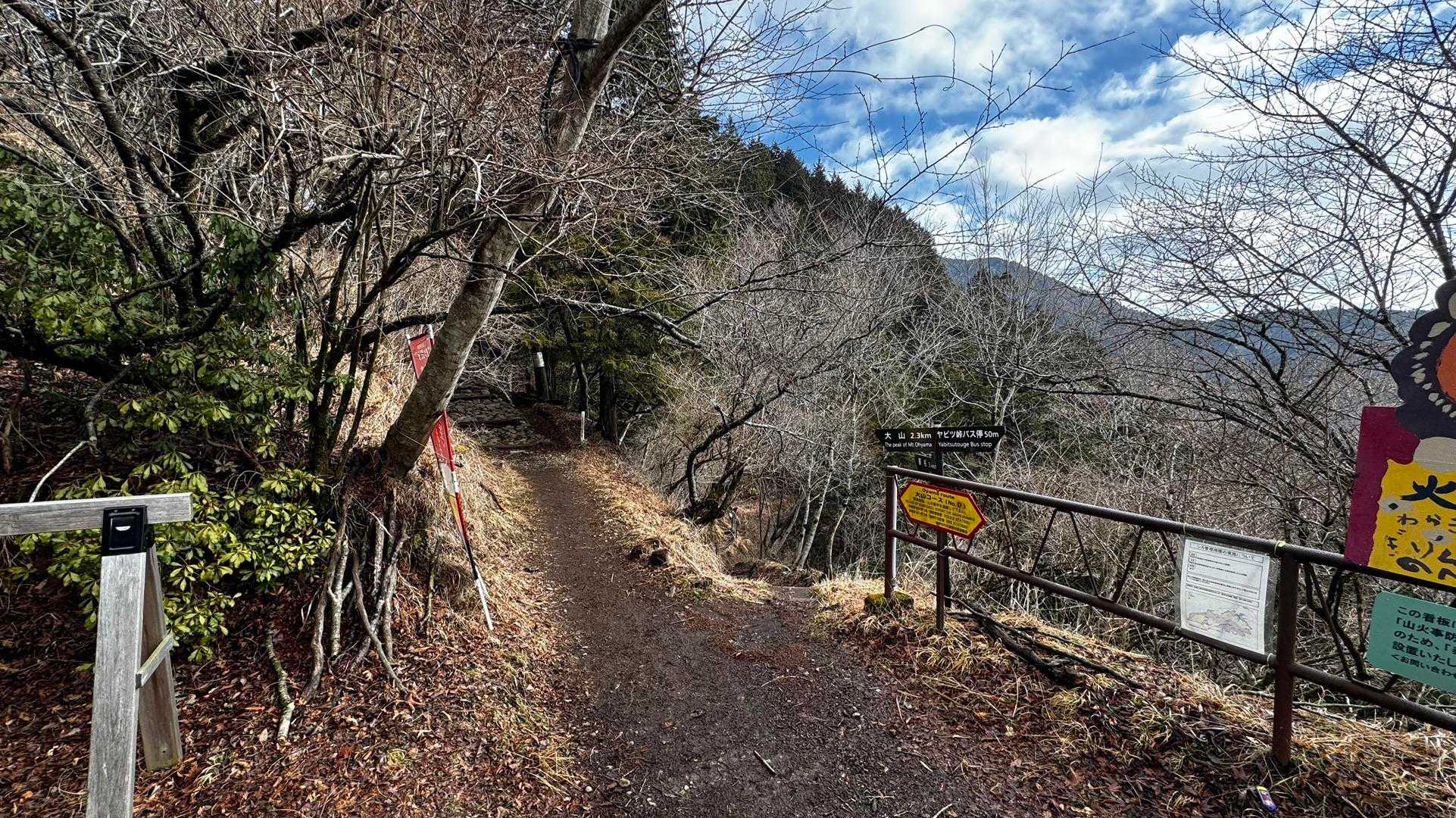 大山（ヤビツ峠〜大山〜鶴巻温泉）縦走 の写真 4