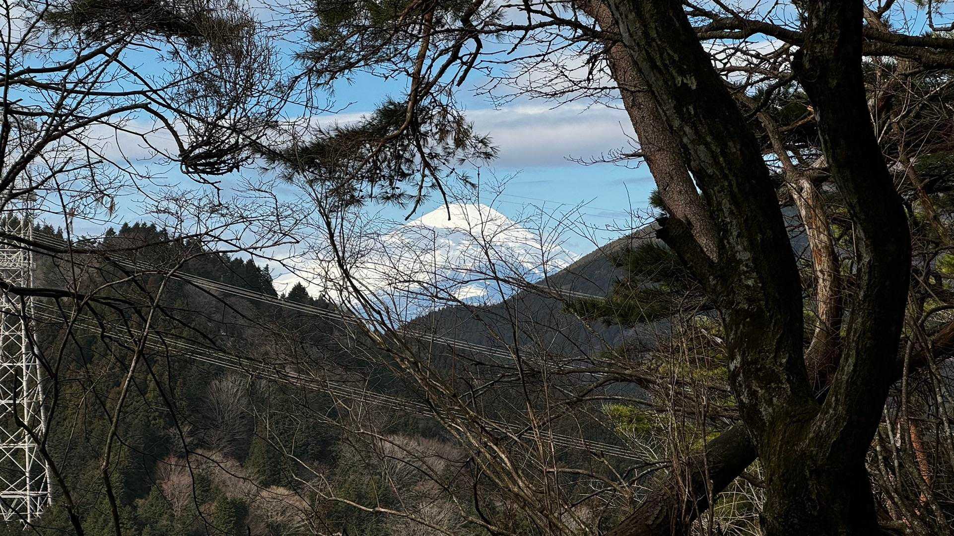 大山（ヤビツ峠〜大山〜鶴巻温泉）縦走 の写真 6