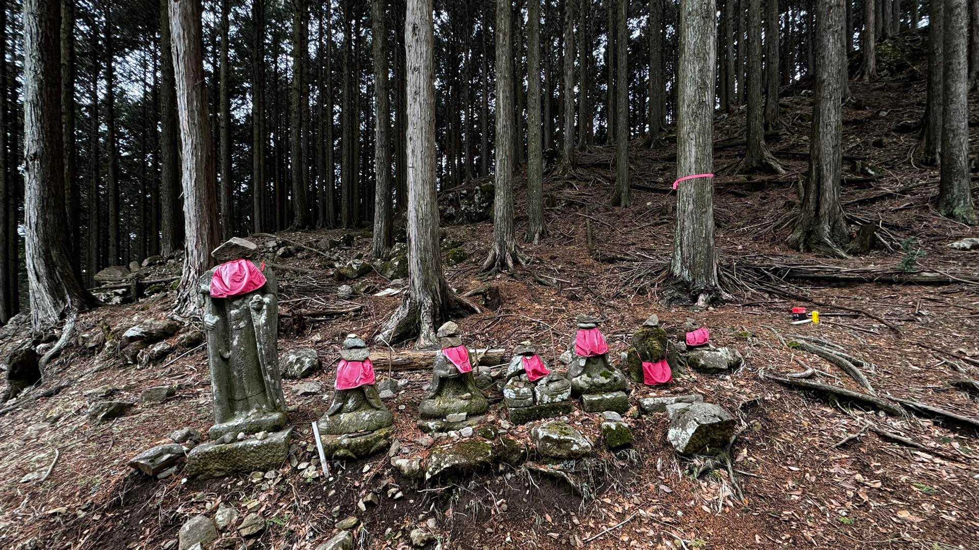 大山（ヤビツ峠〜大山〜鶴巻温泉）縦走 の写真 28