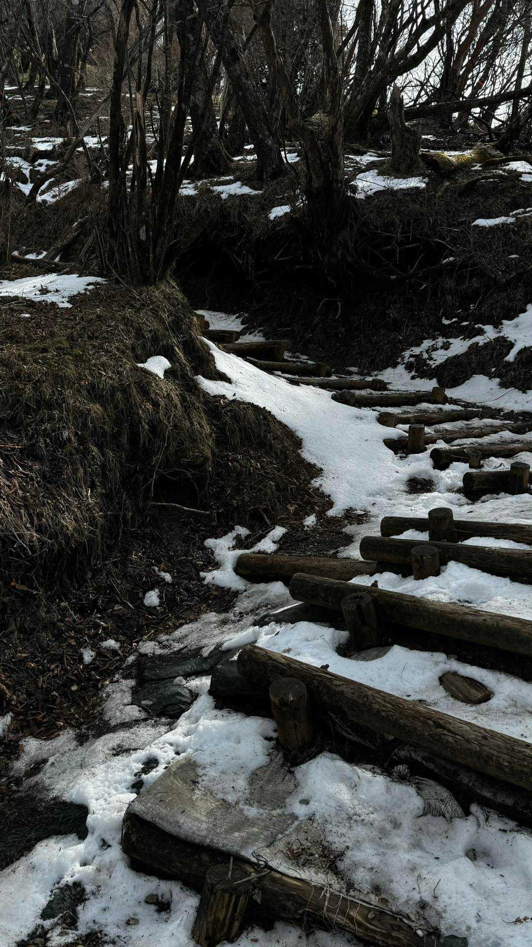 大山（ヤビツ峠〜大山〜鶴巻温泉）縦走 の写真 8