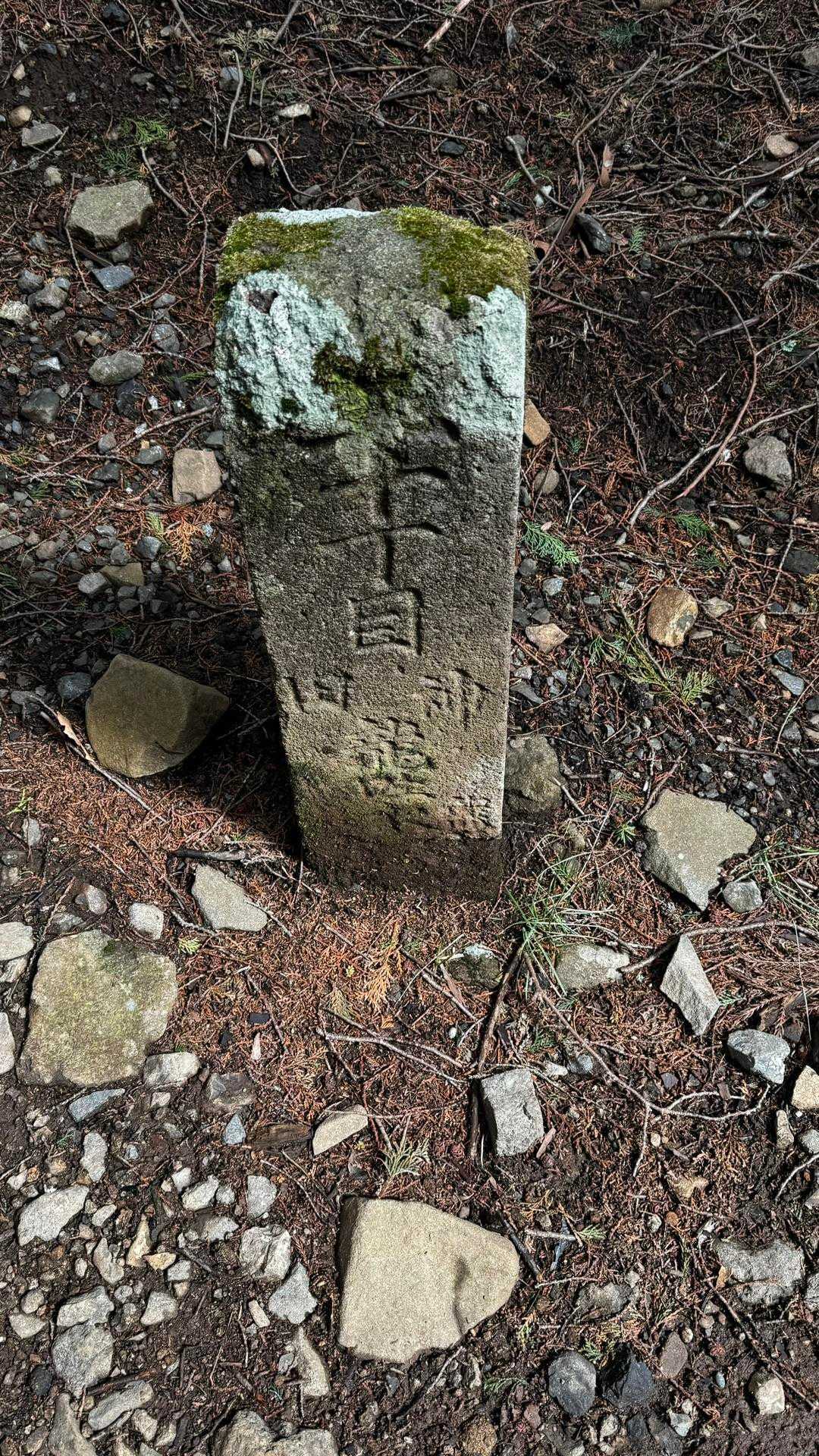 大山（ヤビツ峠〜大山〜鶴巻温泉）縦走 の写真 25