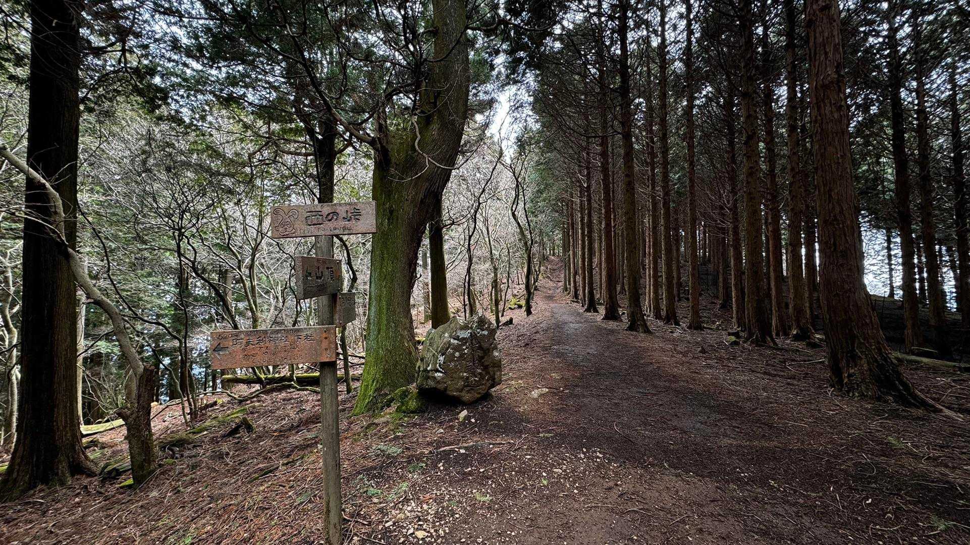 大山（ヤビツ峠〜大山〜鶴巻温泉）縦走 の写真 27