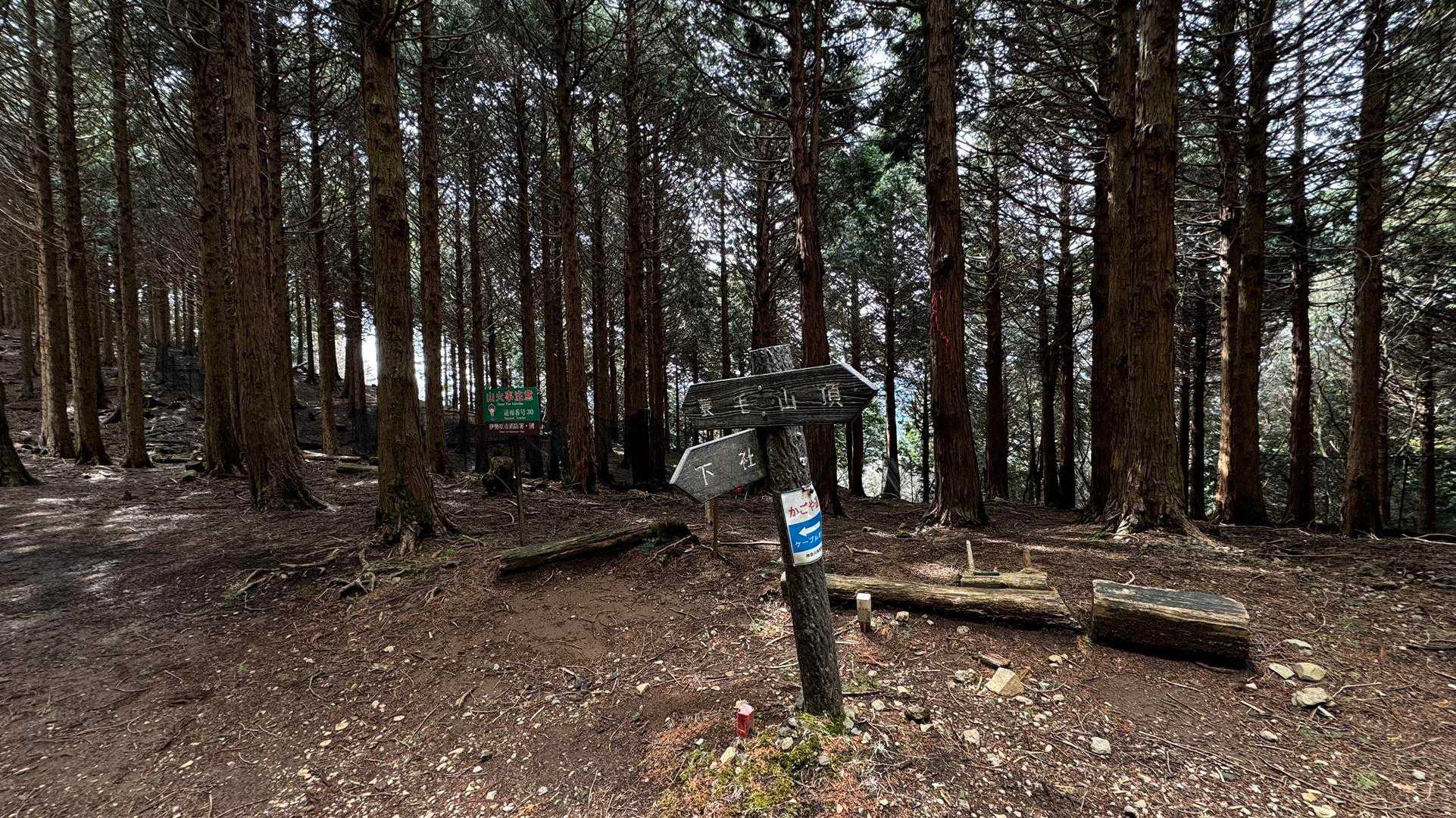 大山（ヤビツ峠〜大山〜鶴巻温泉）縦走 の写真 26
