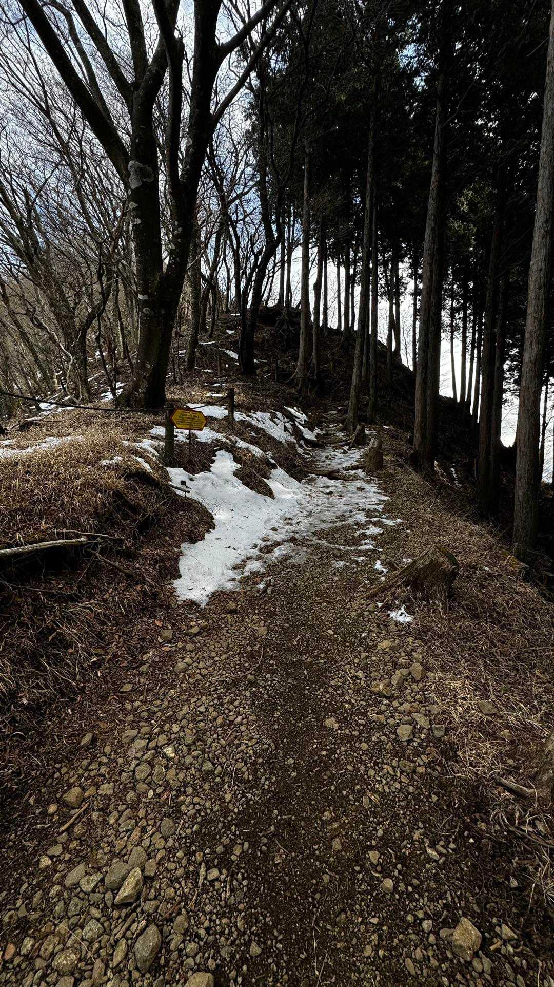 大山（ヤビツ峠〜大山〜鶴巻温泉）縦走 の写真 7