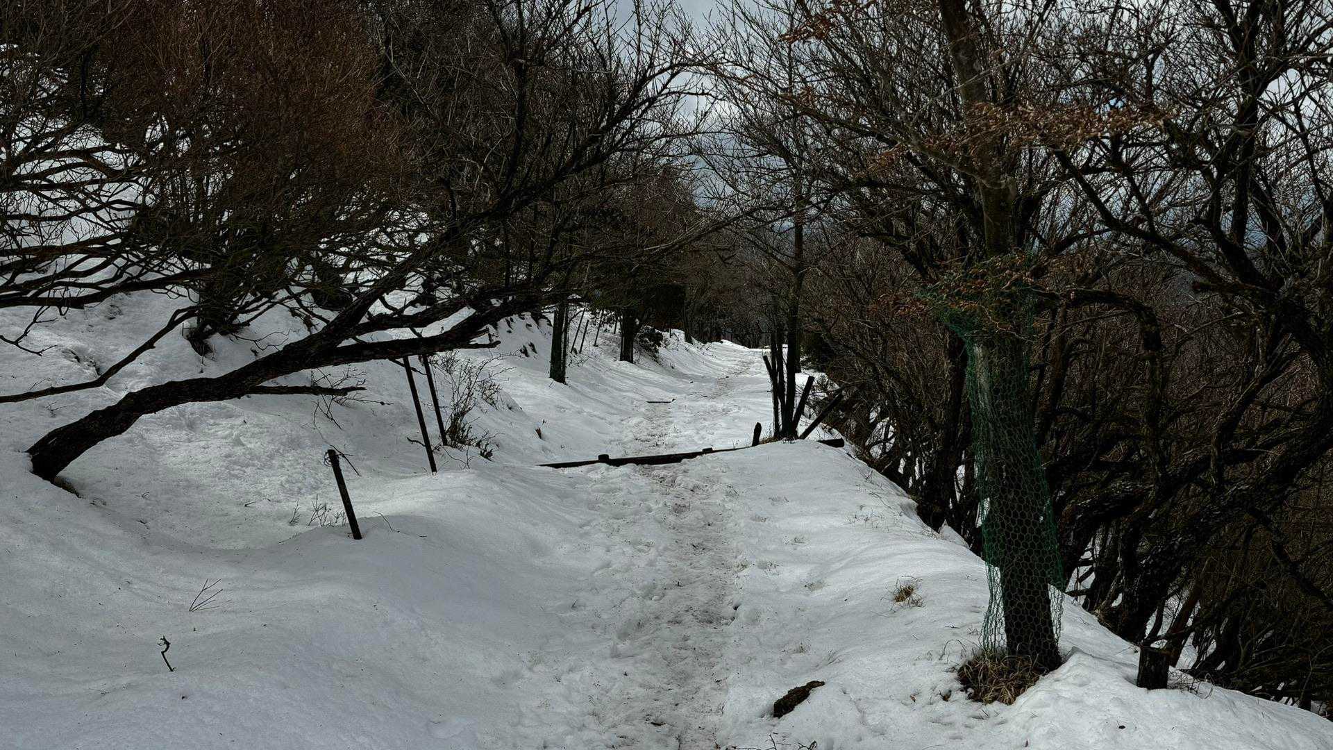 大山（ヤビツ峠〜大山〜鶴巻温泉）縦走 の写真 19