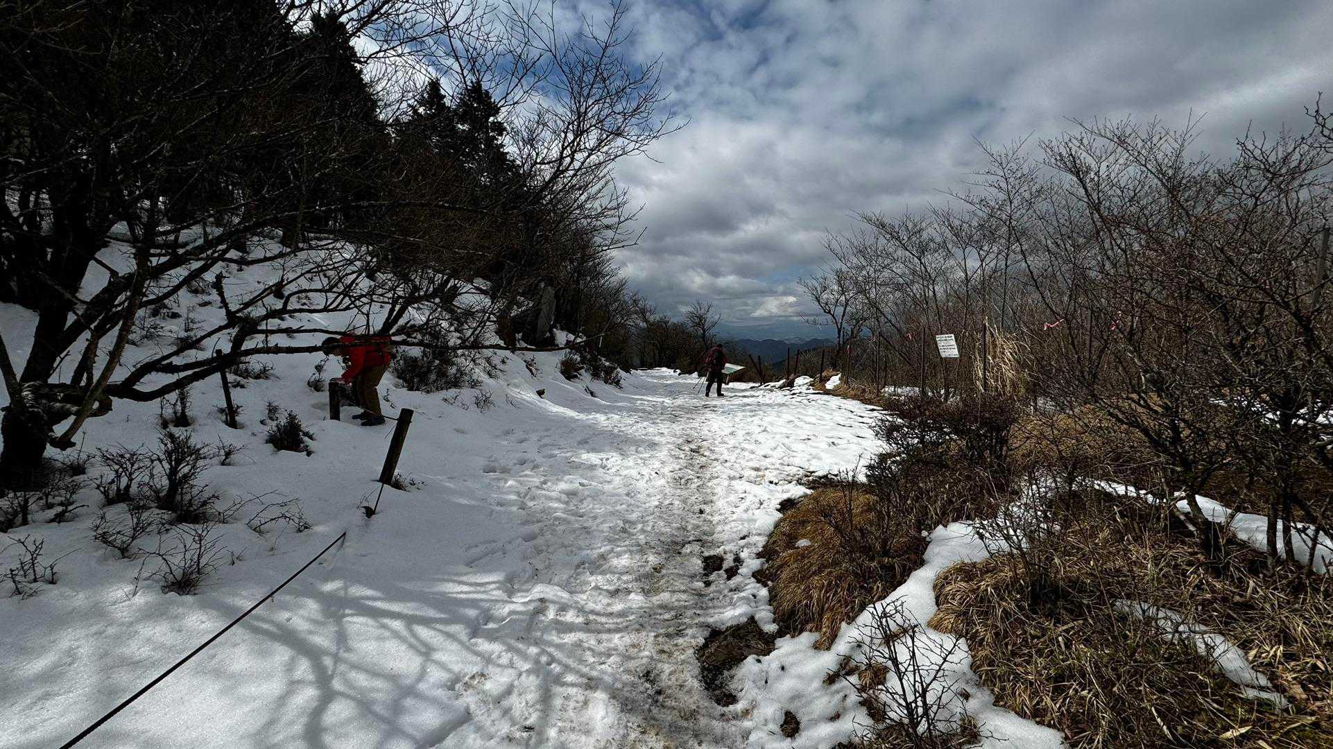 大山（ヤビツ峠〜大山〜鶴巻温泉）縦走 の写真 17