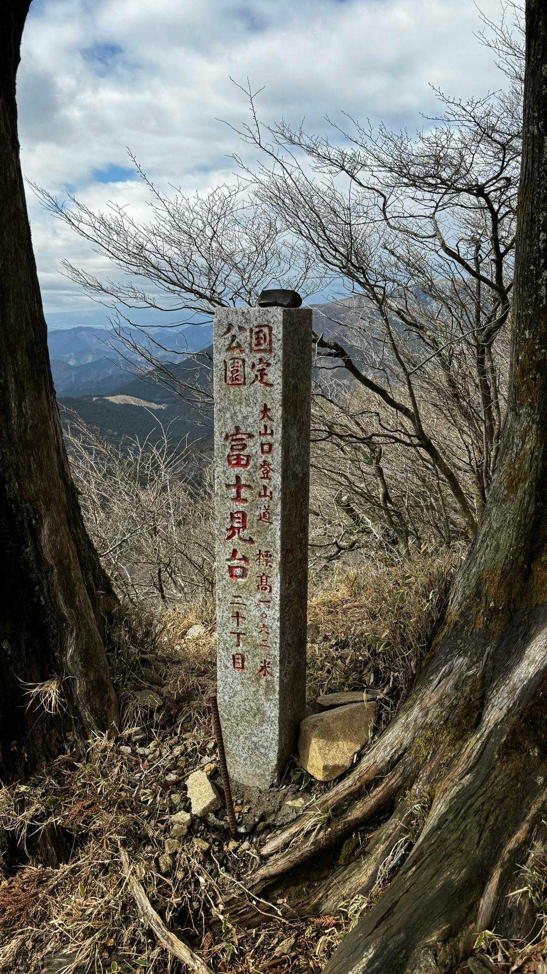 大山（ヤビツ峠〜大山〜鶴巻温泉）縦走 の写真 23