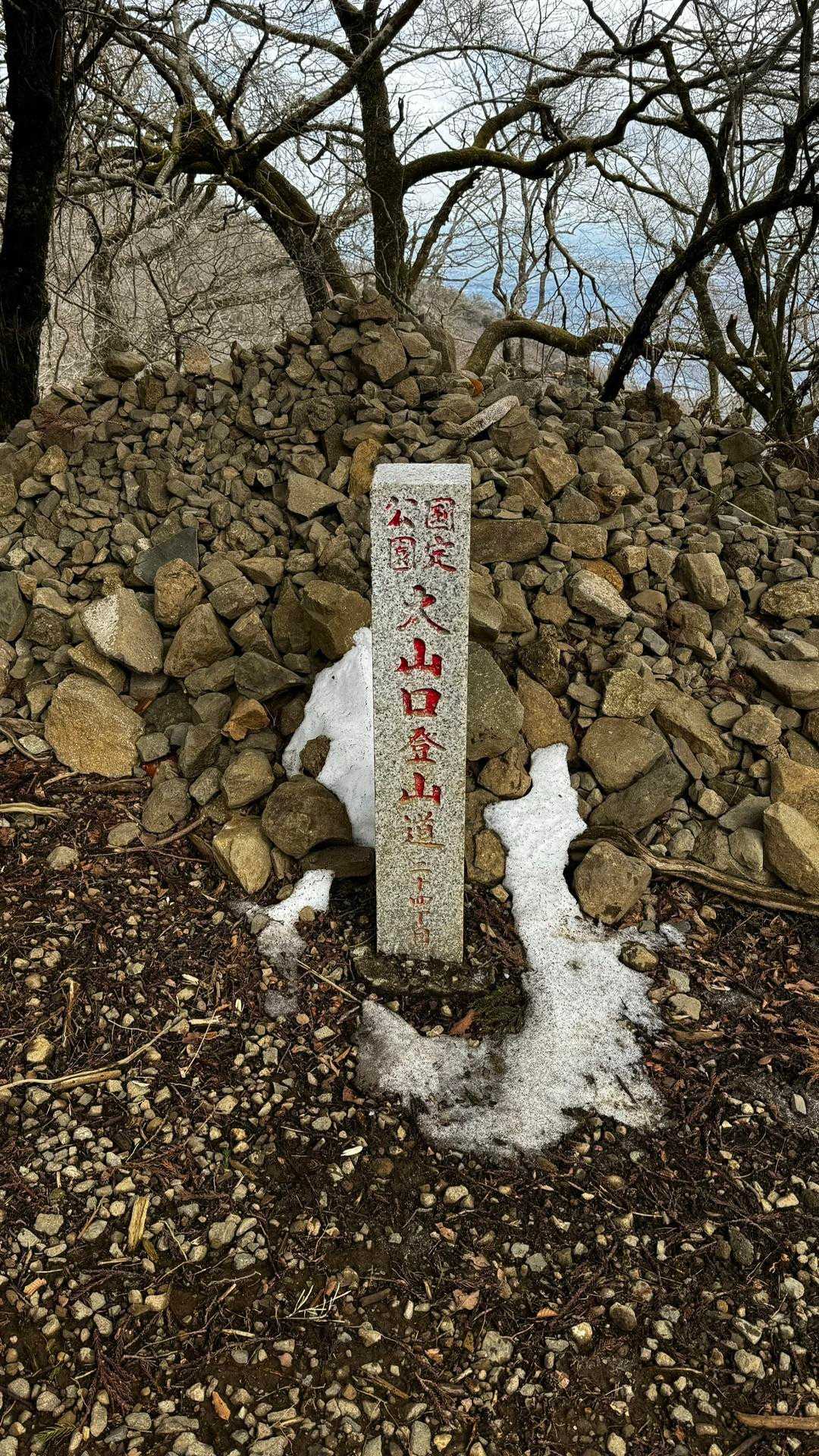 大山（ヤビツ峠〜大山〜鶴巻温泉）縦走 の写真 20