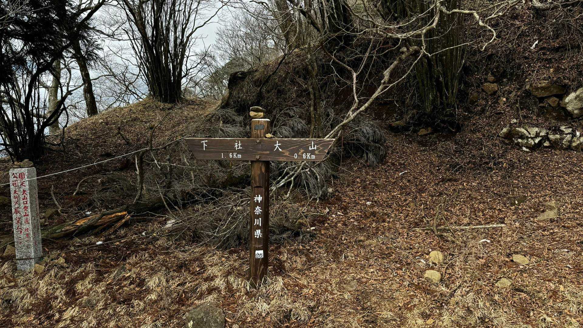 大山（ヤビツ峠〜大山〜鶴巻温泉）縦走 の写真 21
