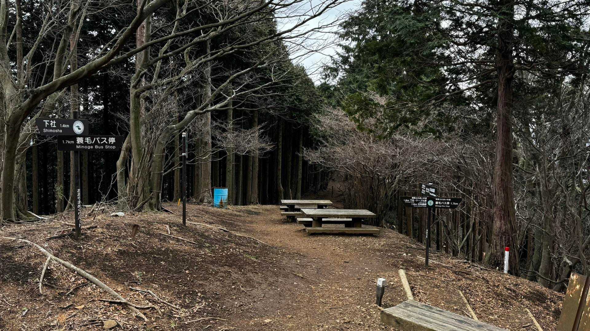 大山（ヤビツ峠〜大山〜鶴巻温泉）縦走 の写真 29