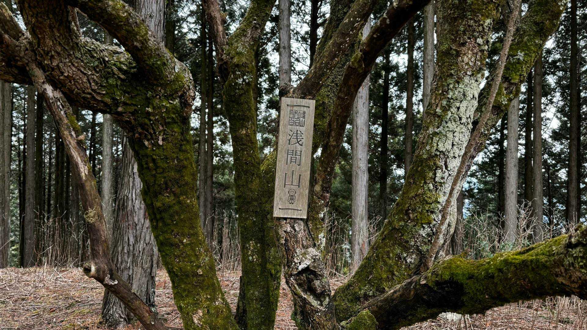 大山（ヤビツ峠〜大山〜鶴巻温泉）縦走 の写真 30