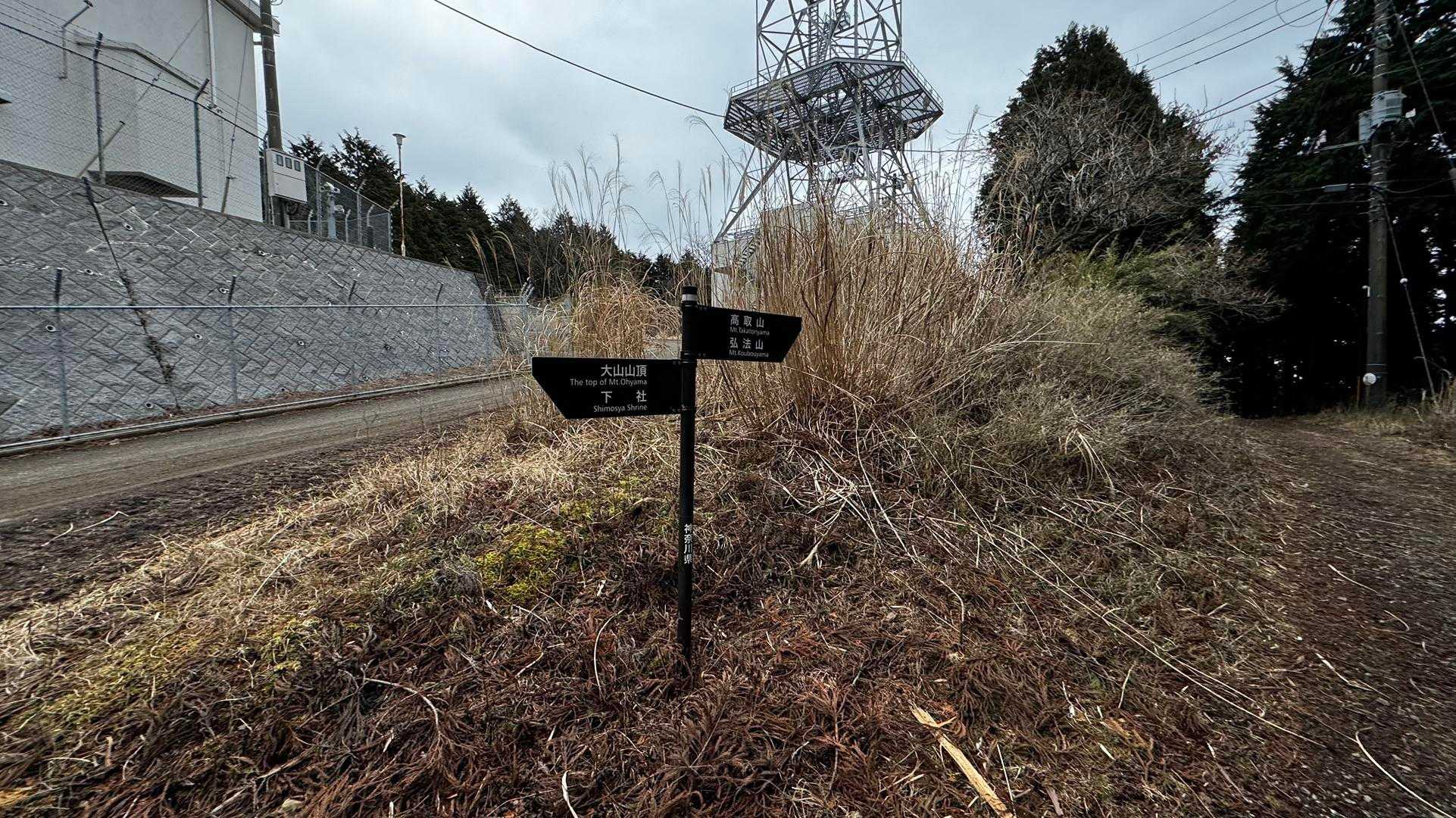 大山（ヤビツ峠〜大山〜鶴巻温泉）縦走 の写真 34