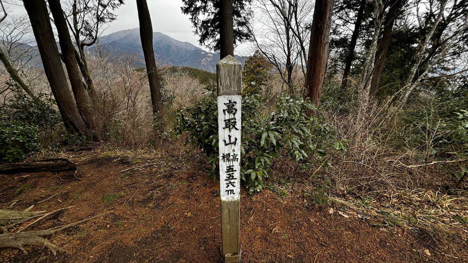 大山（ヤビツ峠〜大山〜鶴巻温泉）縦走 の写真 38