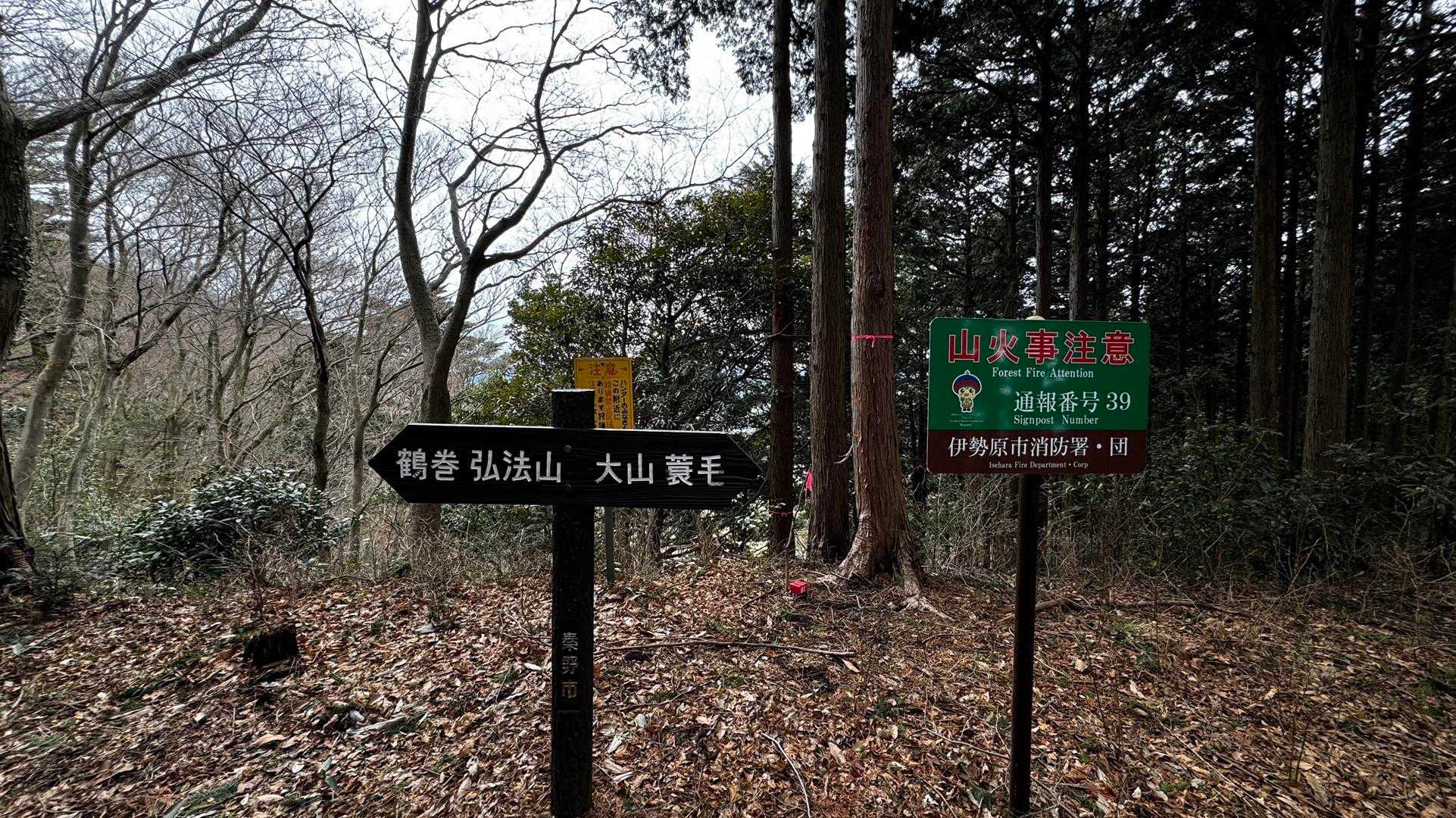 大山（ヤビツ峠〜大山〜鶴巻温泉）縦走 の写真 36