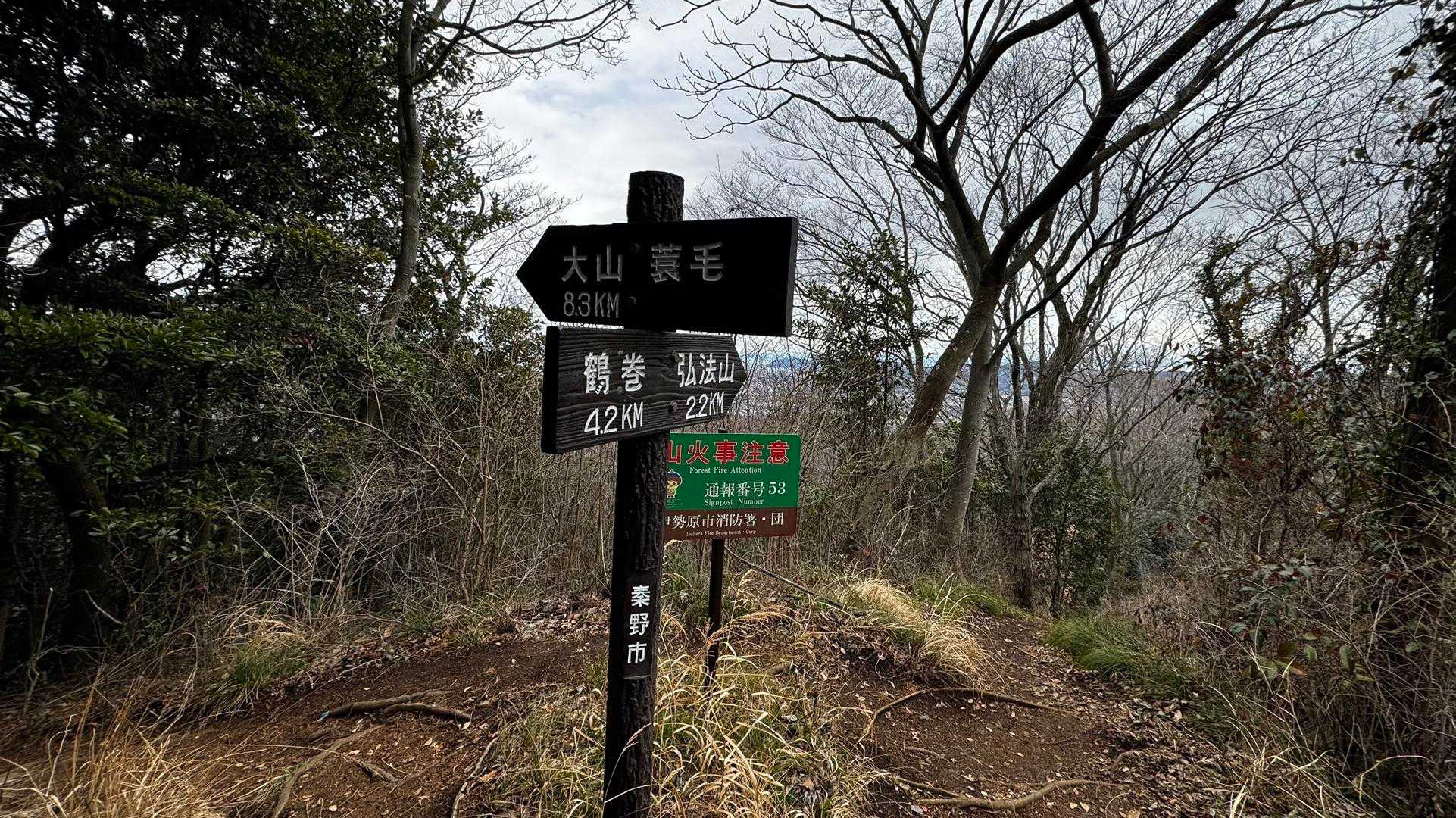 大山（ヤビツ峠〜大山〜鶴巻温泉）縦走 の写真 40
