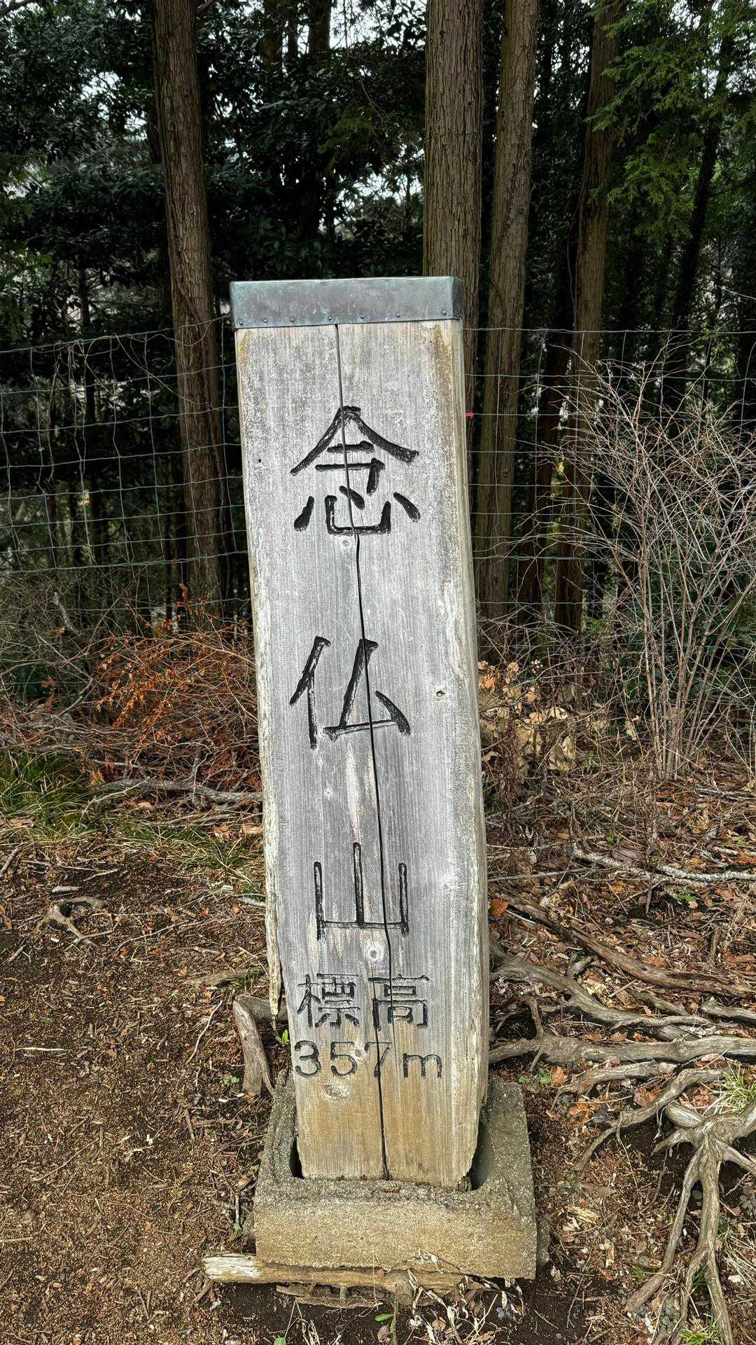 大山（ヤビツ峠〜大山〜鶴巻温泉）縦走 の写真 41
