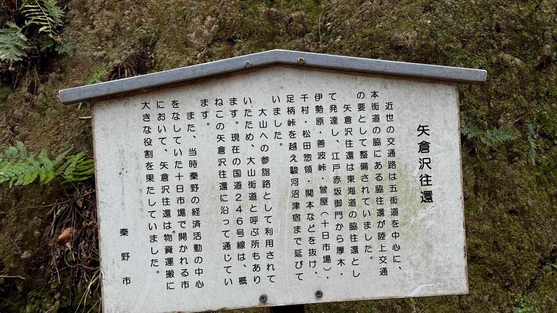 大山（ヤビツ峠〜大山〜鶴巻温泉）縦走 の写真 46