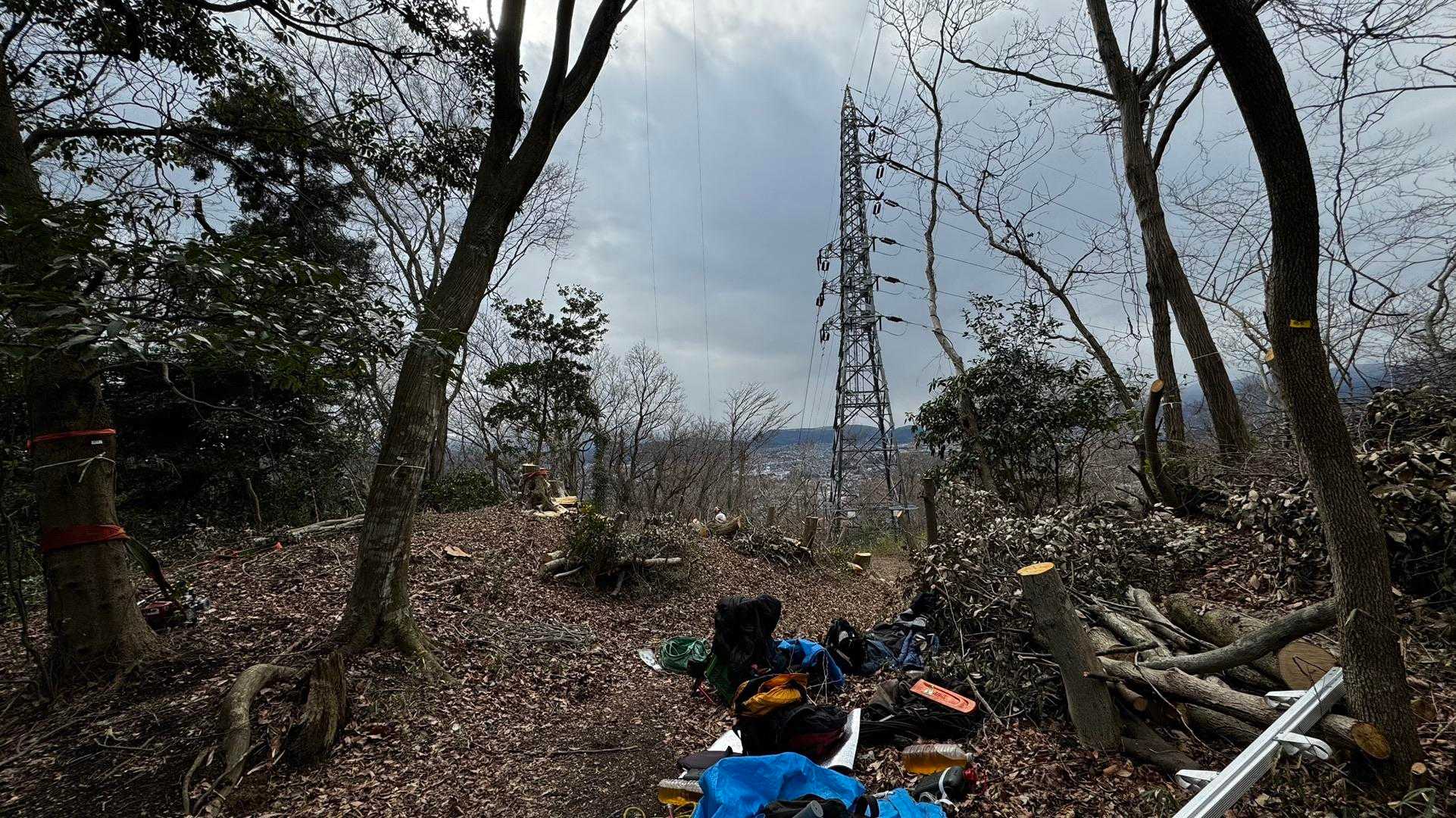 大山（ヤビツ峠〜大山〜鶴巻温泉）縦走 の写真 44