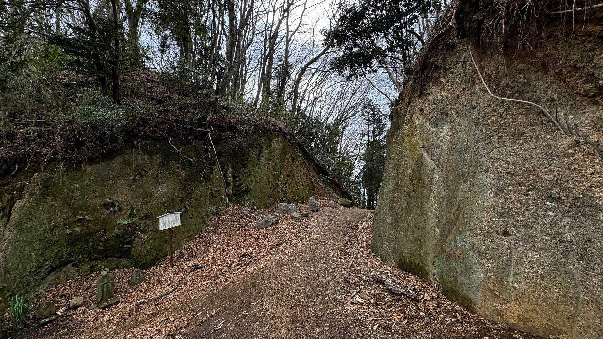 大山（ヤビツ峠〜大山〜鶴巻温泉）縦走 の写真 45