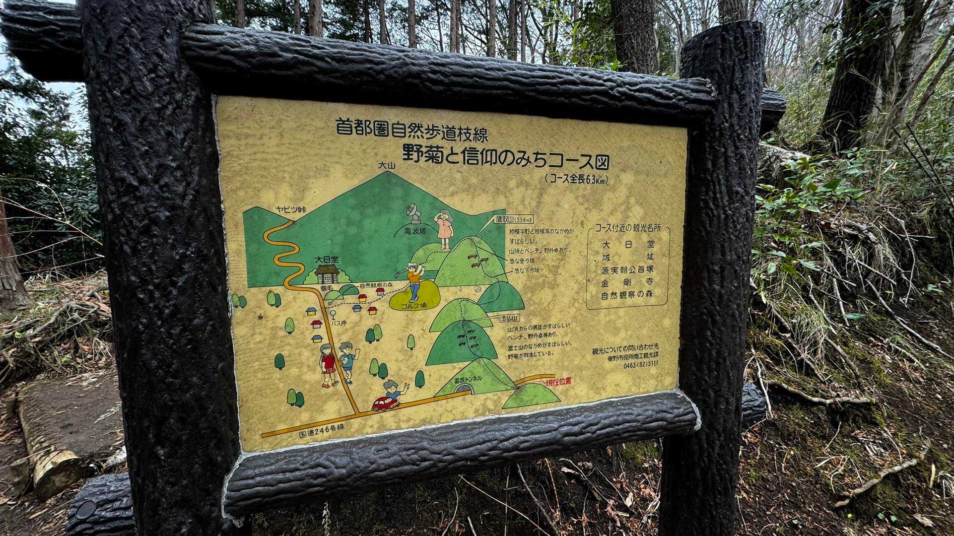 大山（ヤビツ峠〜大山〜鶴巻温泉）縦走 の写真 48