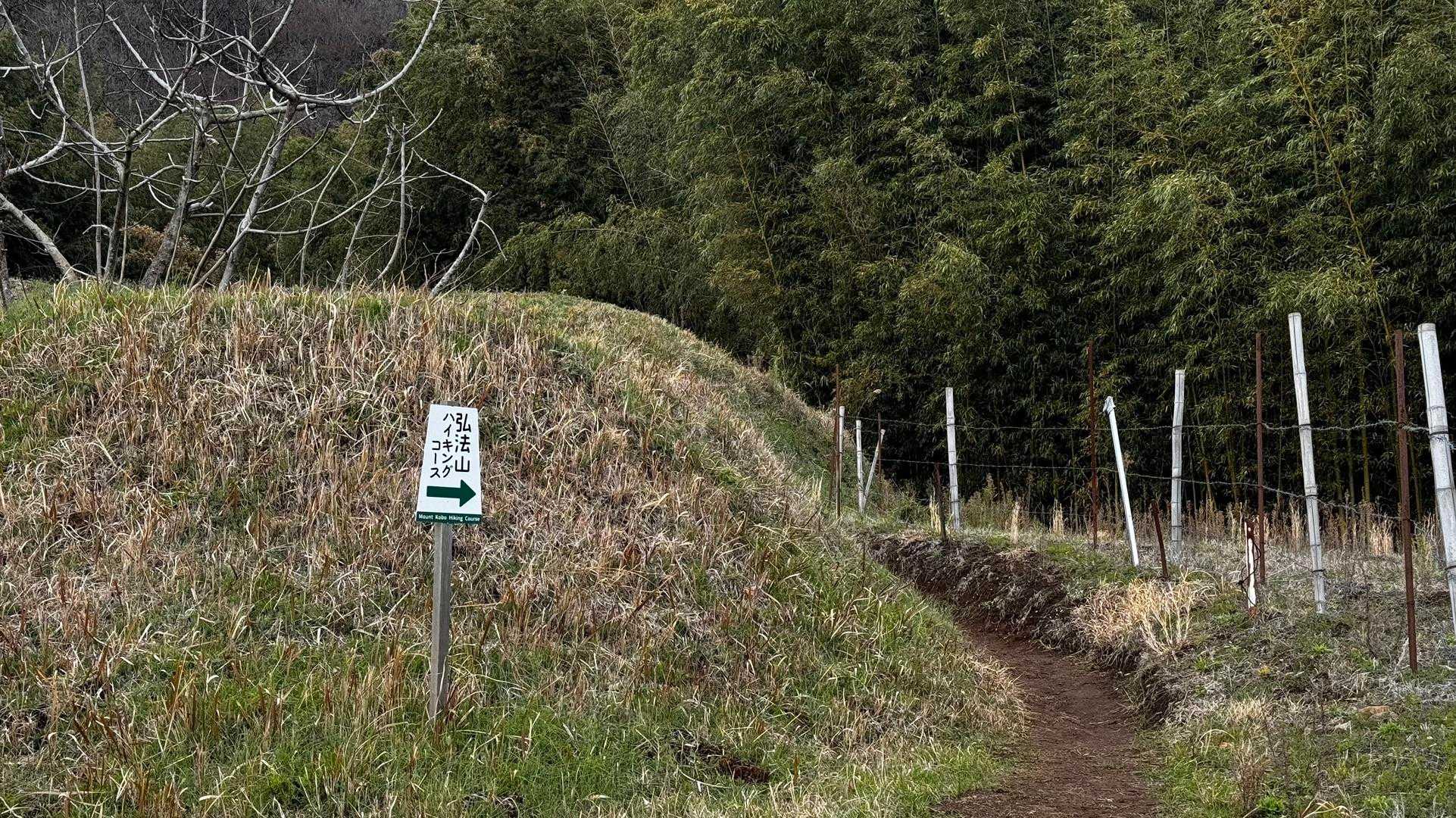 大山（ヤビツ峠〜大山〜鶴巻温泉）縦走 の写真 50