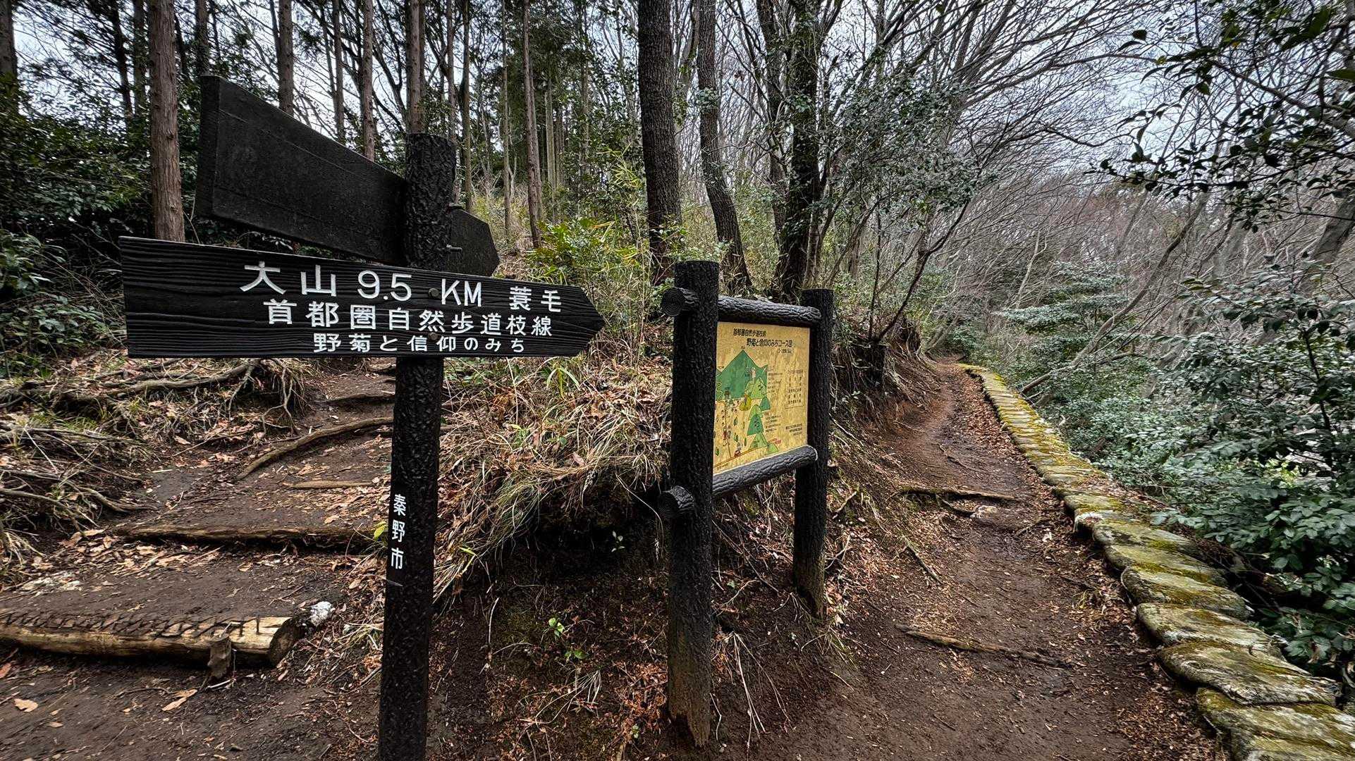 大山（ヤビツ峠〜大山〜鶴巻温泉）縦走 の写真 49
