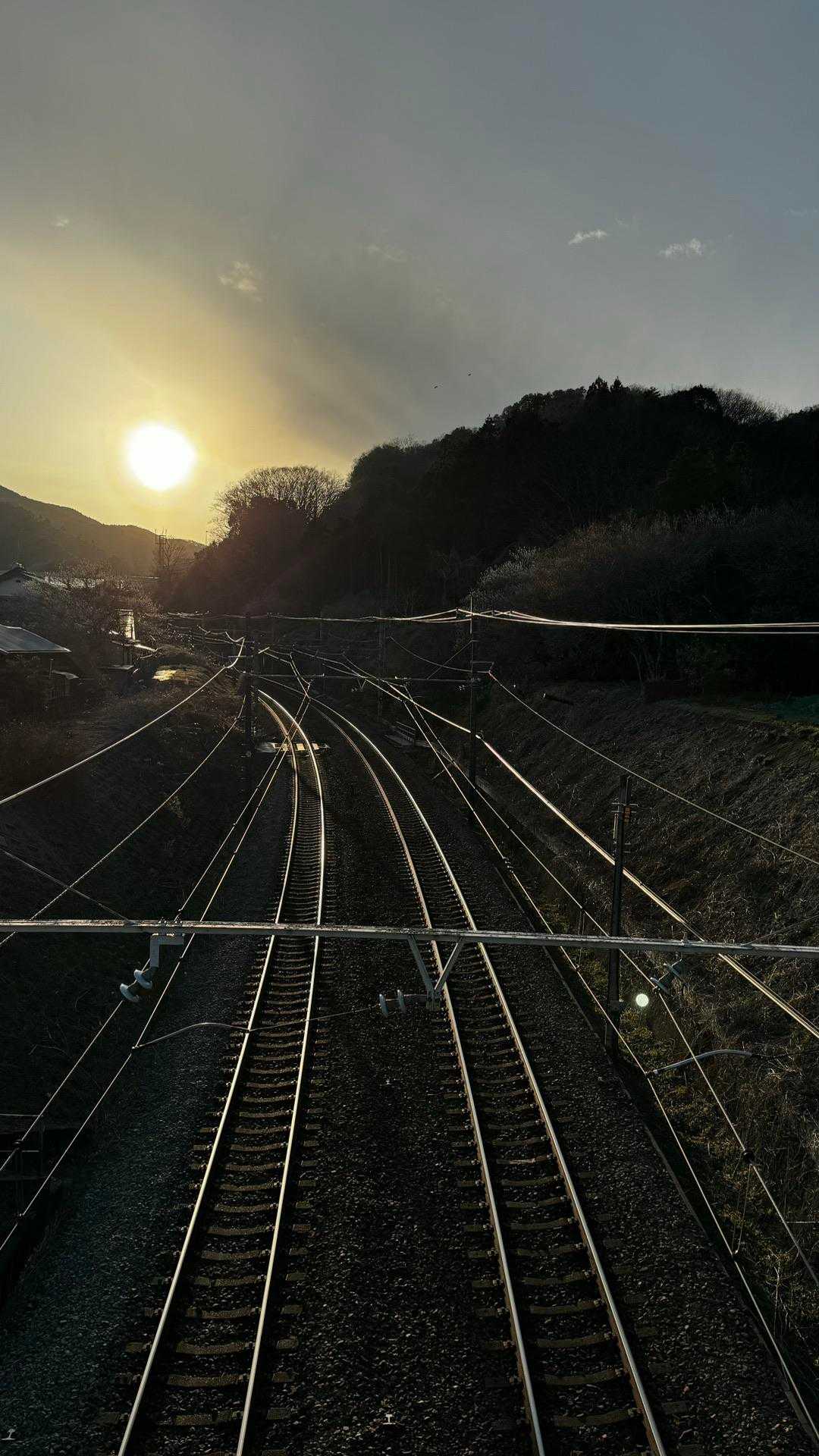 奥高尾〜裏高尾縦走（陣馬山・堂所山・富士見台・駒木野） の写真 68