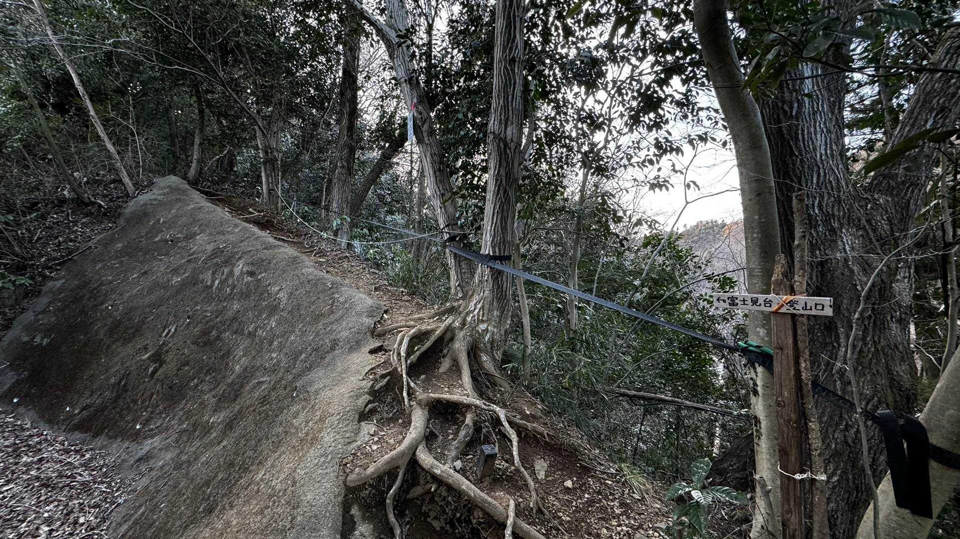 奥高尾〜裏高尾縦走（陣馬山・堂所山・富士見台・駒木野） の写真 67