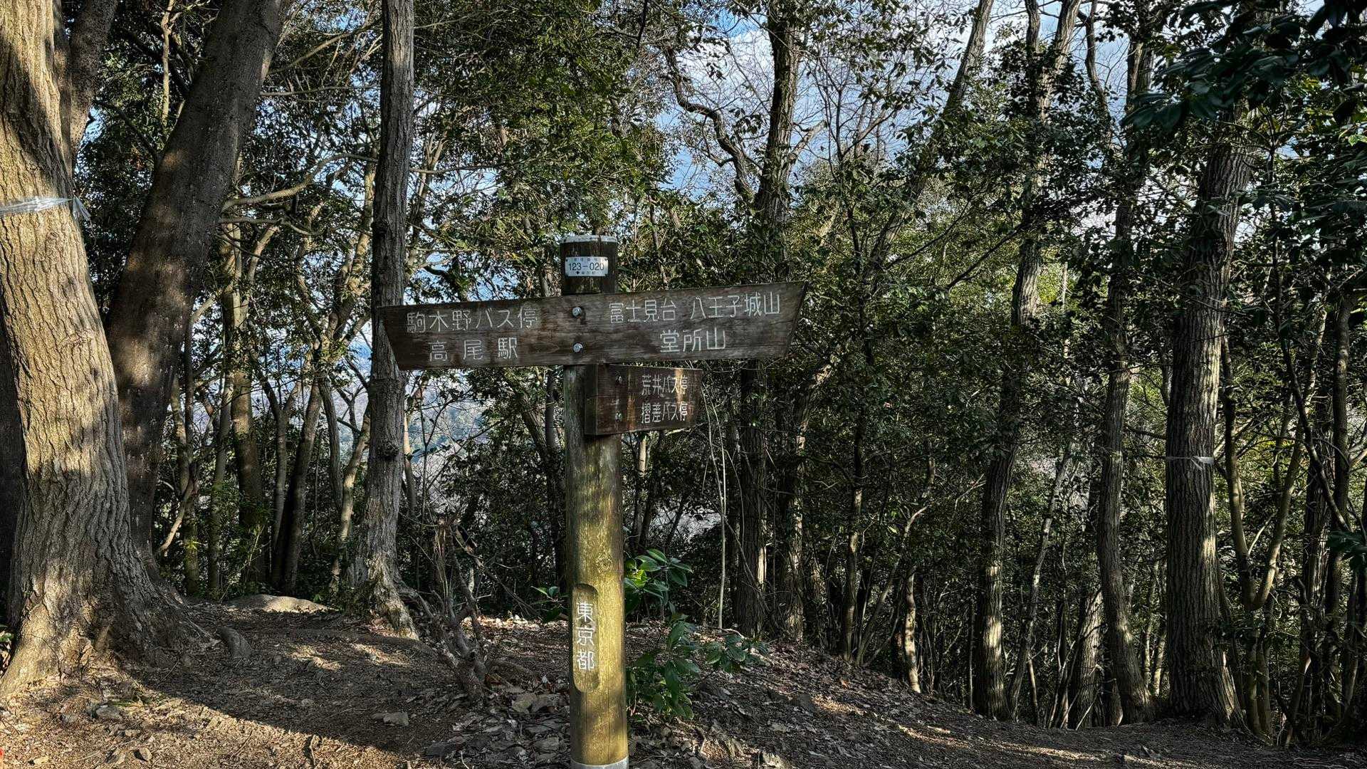 奥高尾〜裏高尾縦走（陣馬山・堂所山・富士見台・駒木野） の写真 65