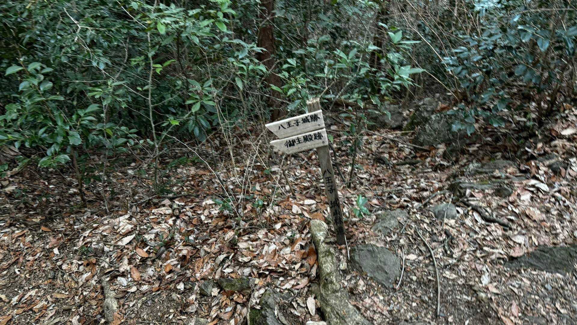 奥高尾〜裏高尾縦走（陣馬山・堂所山・富士見台・駒木野） の写真 64