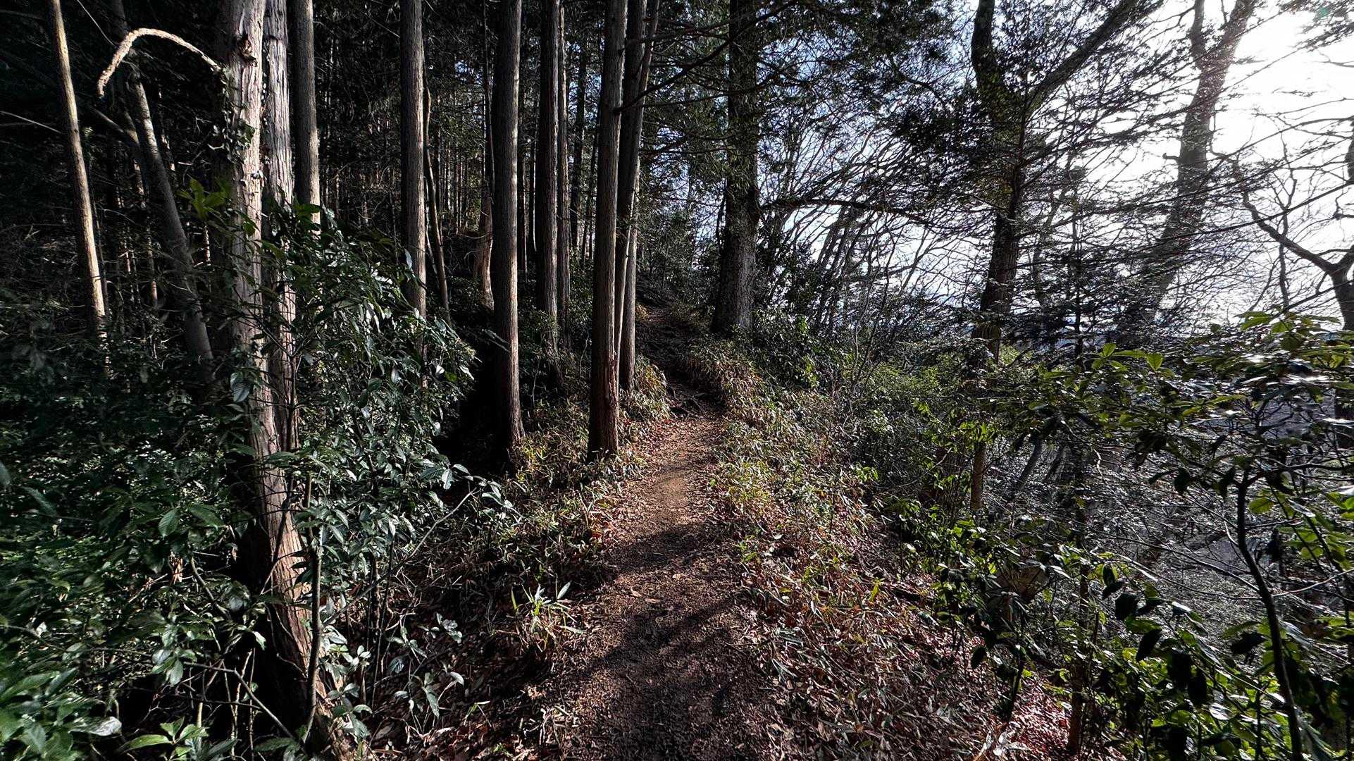 奥高尾〜裏高尾縦走（陣馬山・堂所山・富士見台・駒木野） の写真 63